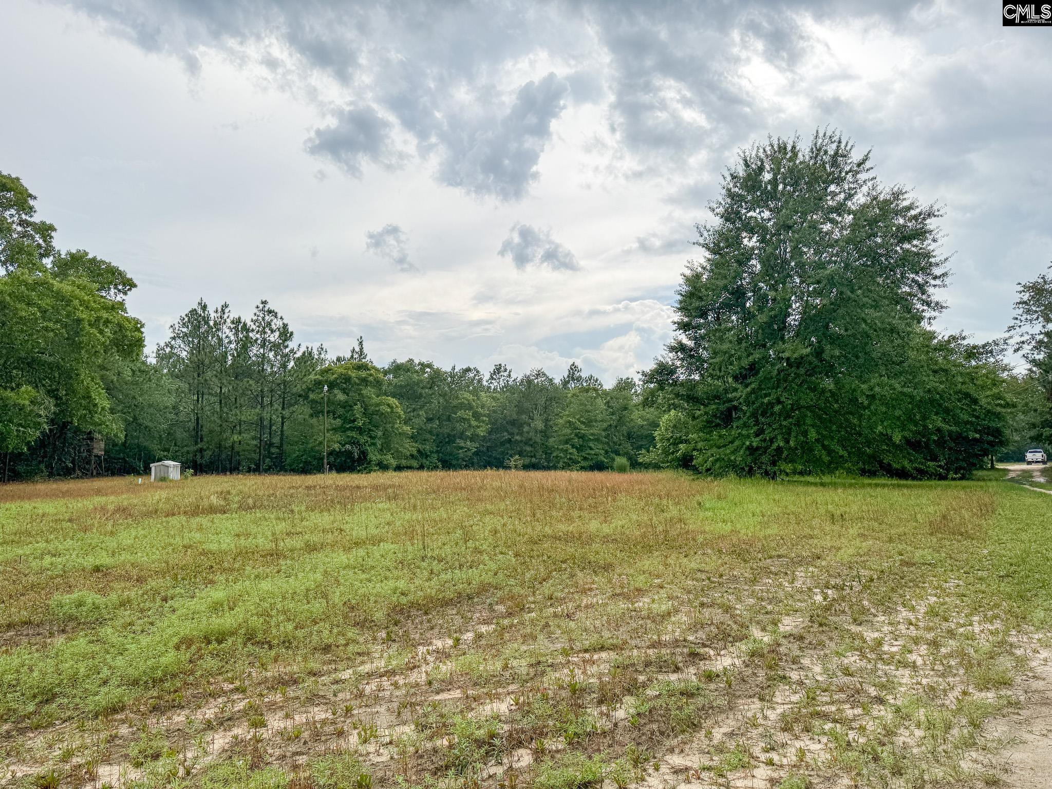 165 Carlton Drive Batesburg, SC 29006