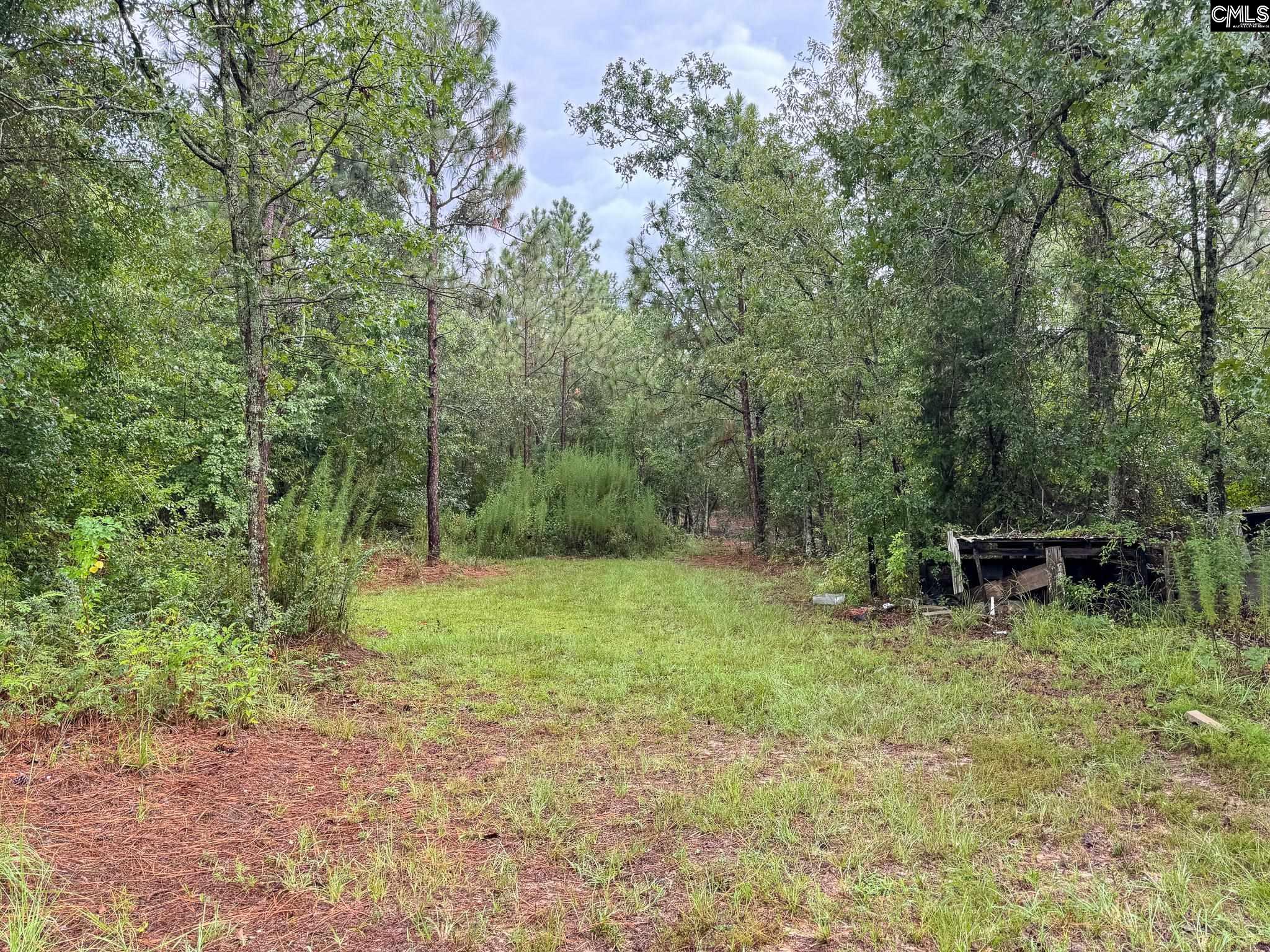 165 Carlton Drive Batesburg, SC 29006