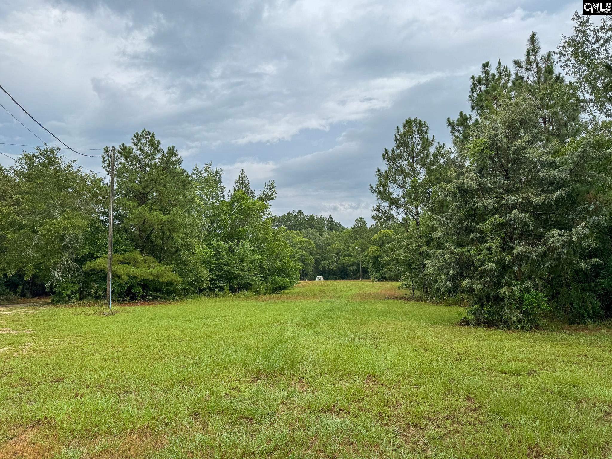 165 Carlton Drive Batesburg, SC 29006