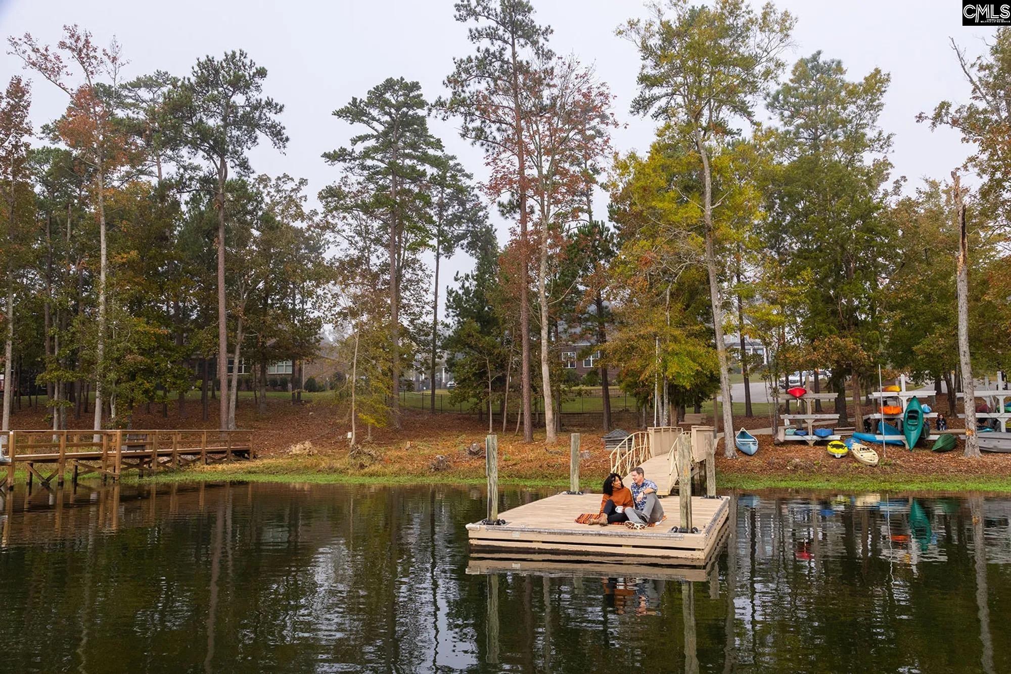 1431 Saugus Court Chapin, SC 29036