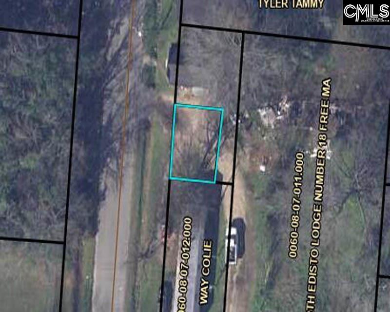 TBD Bedford Avenue North, SC 29112