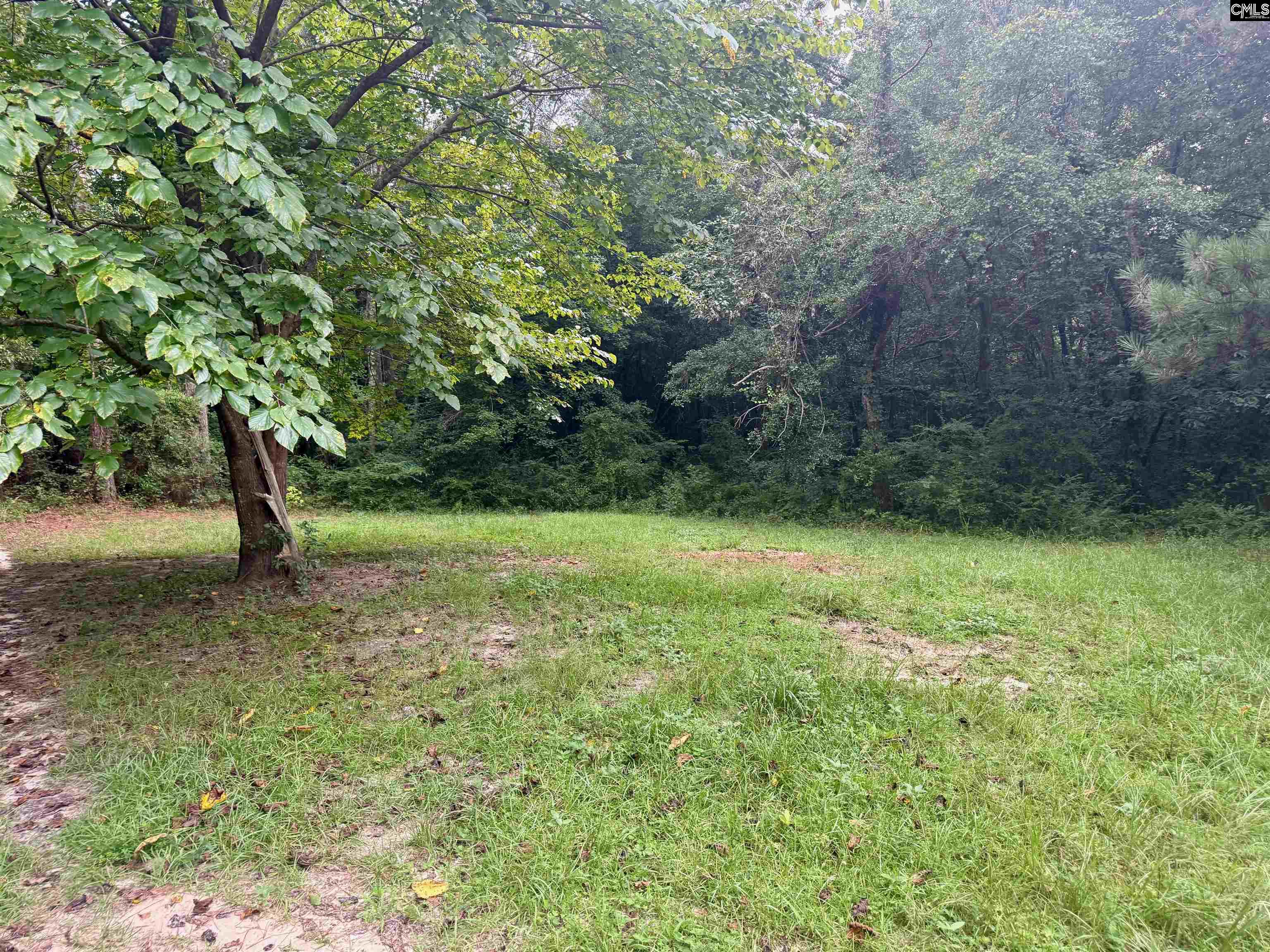 457 George Brown Road Pelion, SC 29123-9547