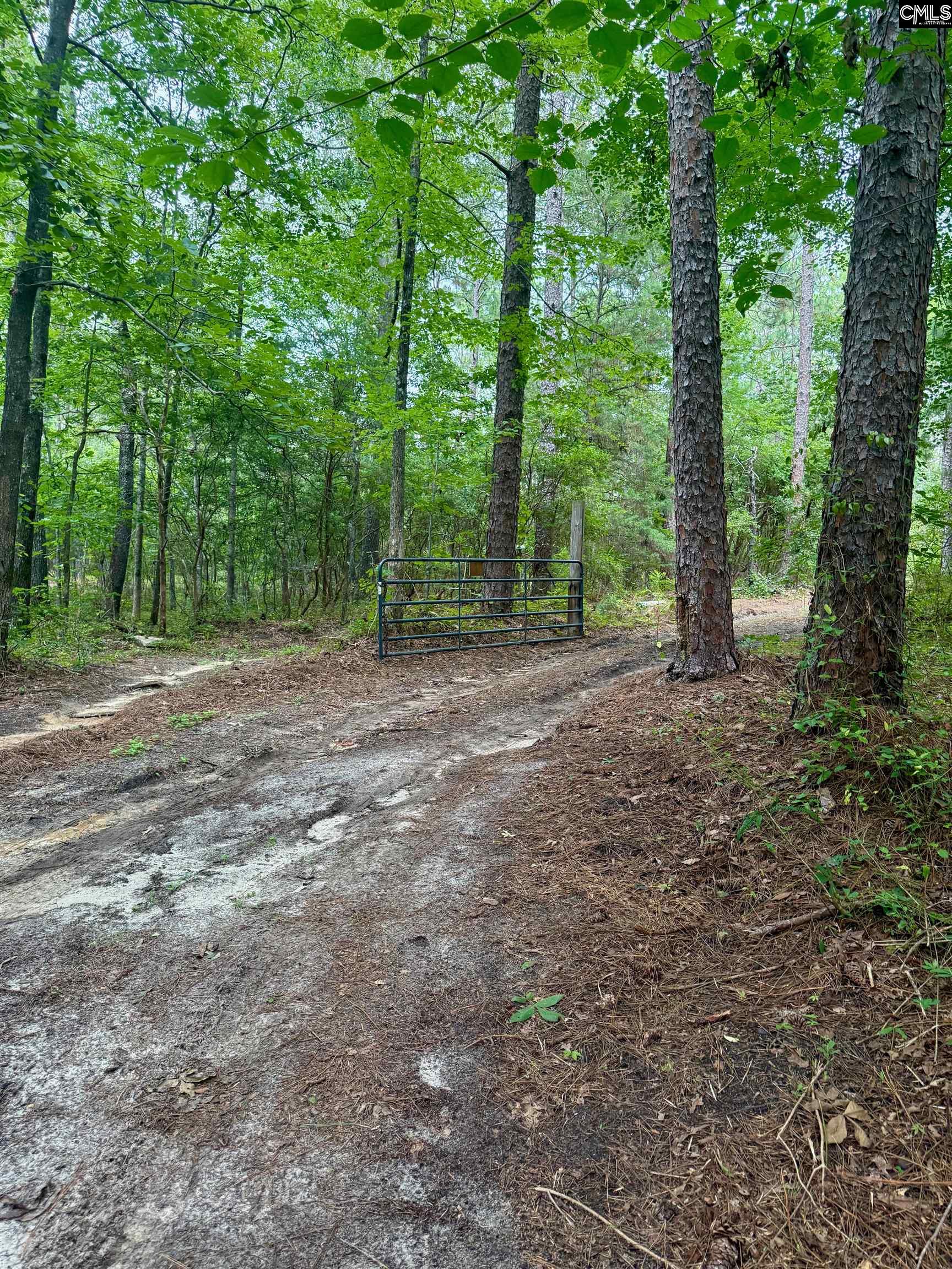457 George Brown Road Pelion, SC 29123-9547