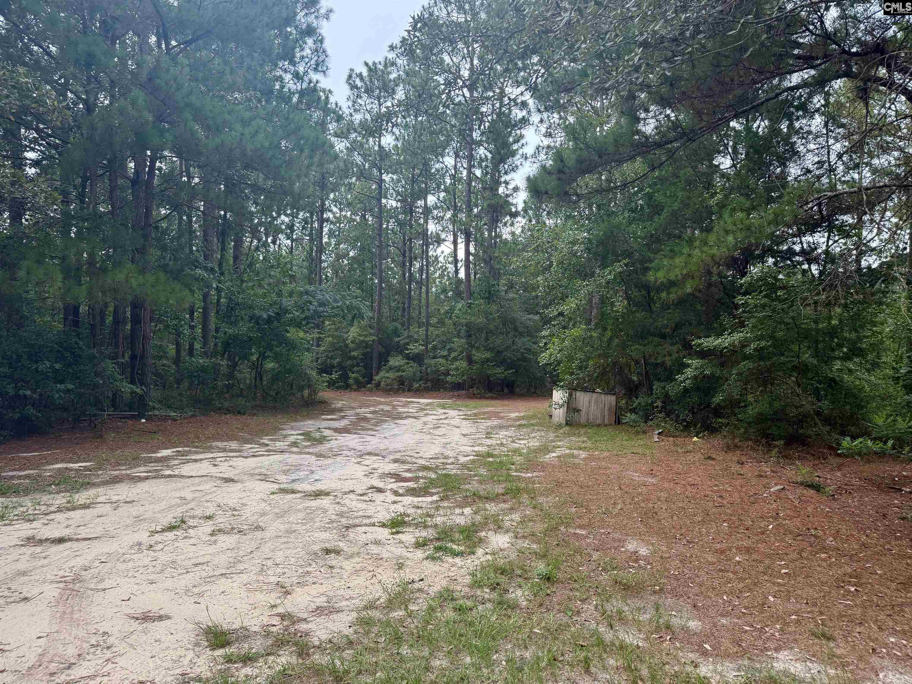 457 George Brown Road Pelion, SC 29123-9547