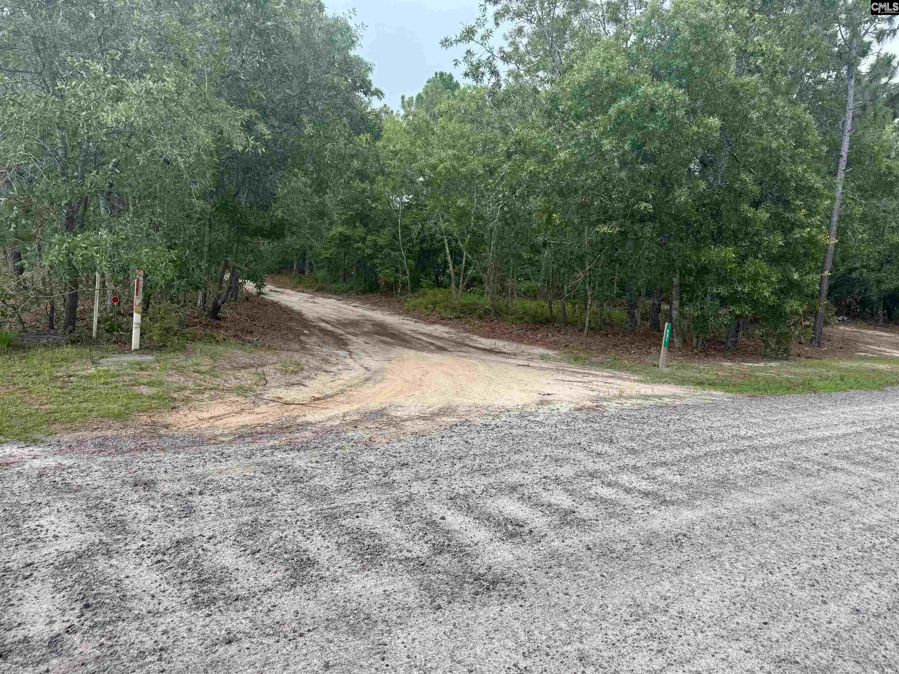 457 George Brown Road Pelion, SC 29123-9547