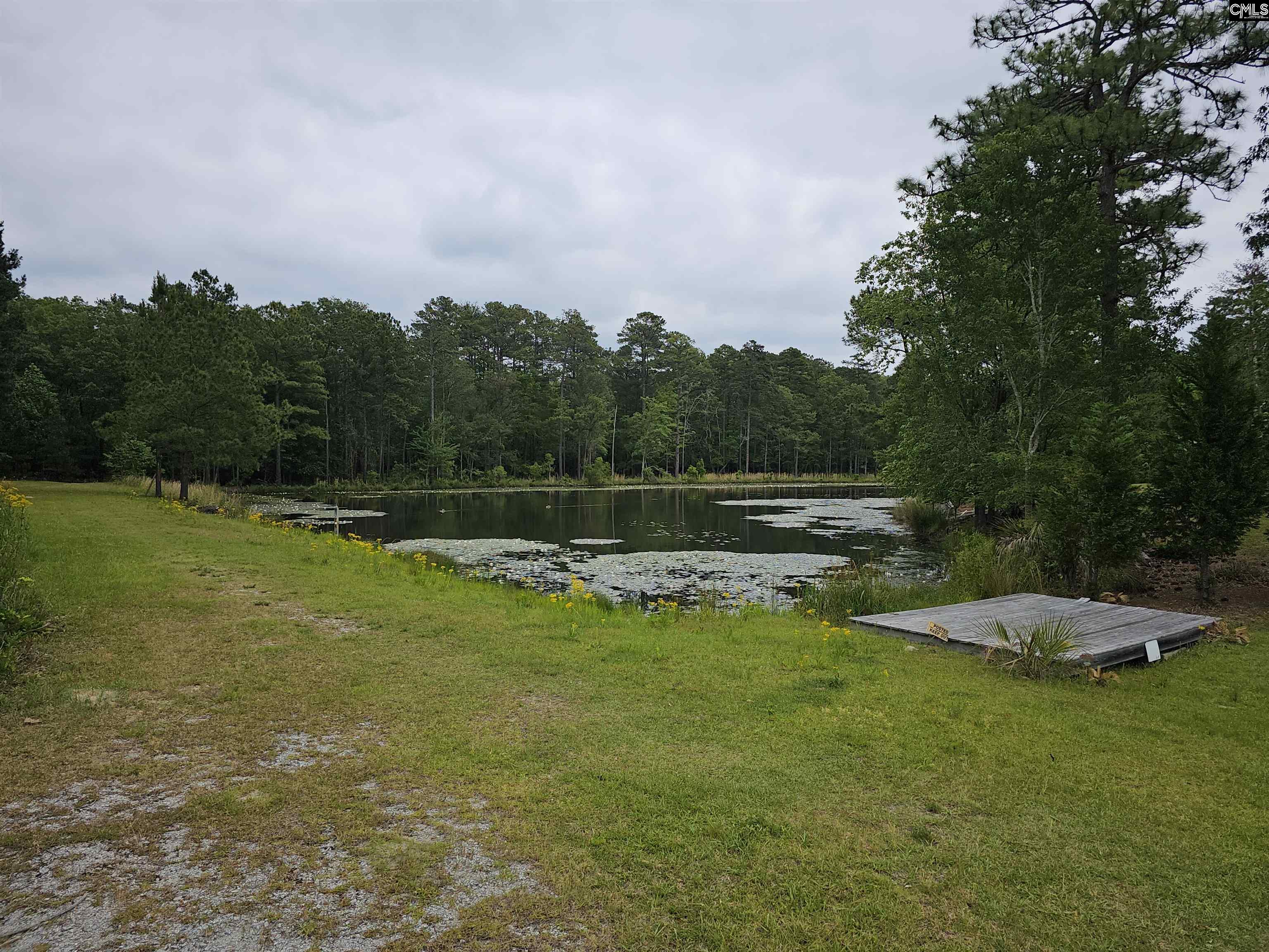 137 Fishers Wood Drive Columbia, SC 29223
