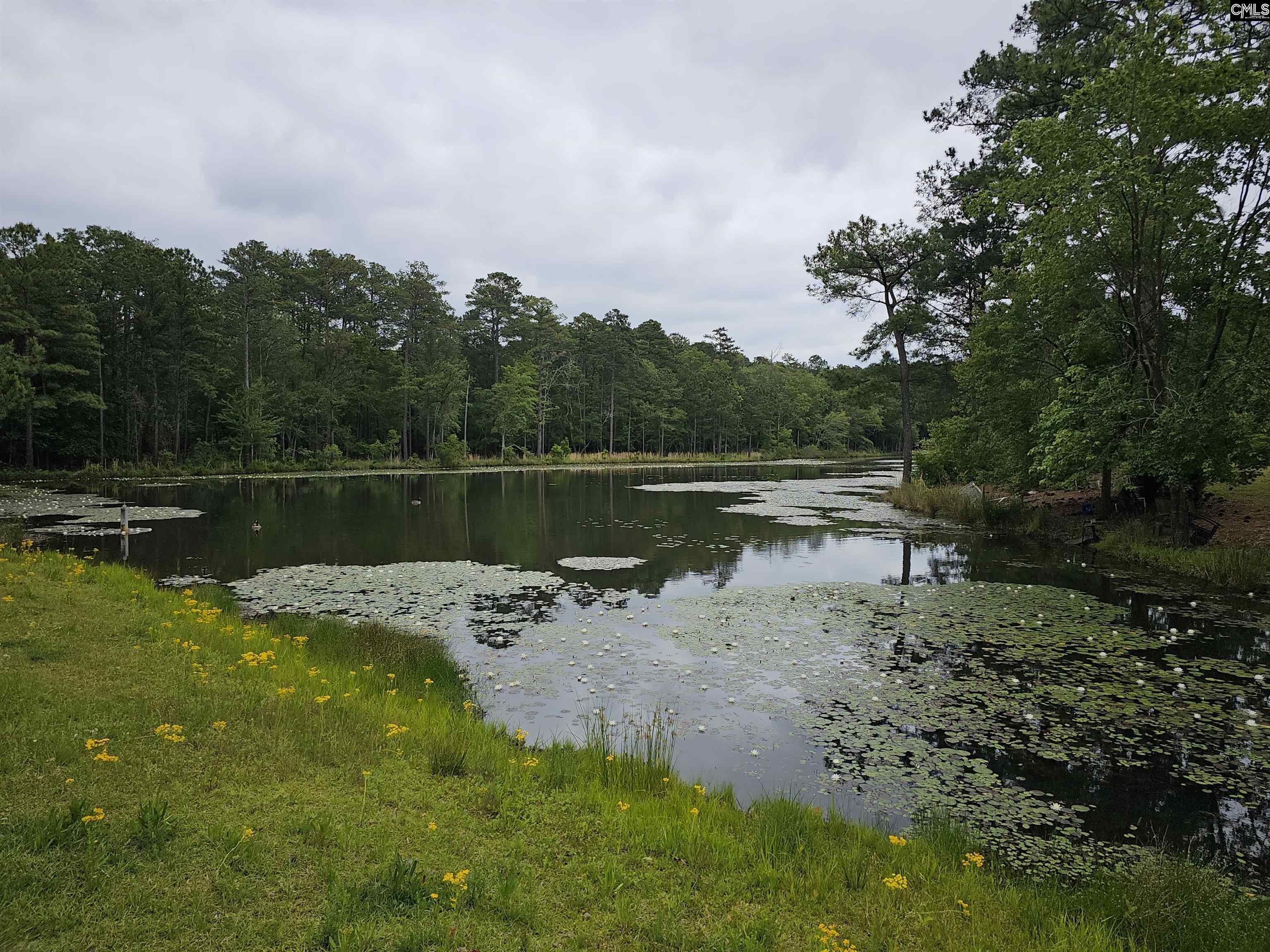 137 Fishers Wood Drive Columbia, SC 29223