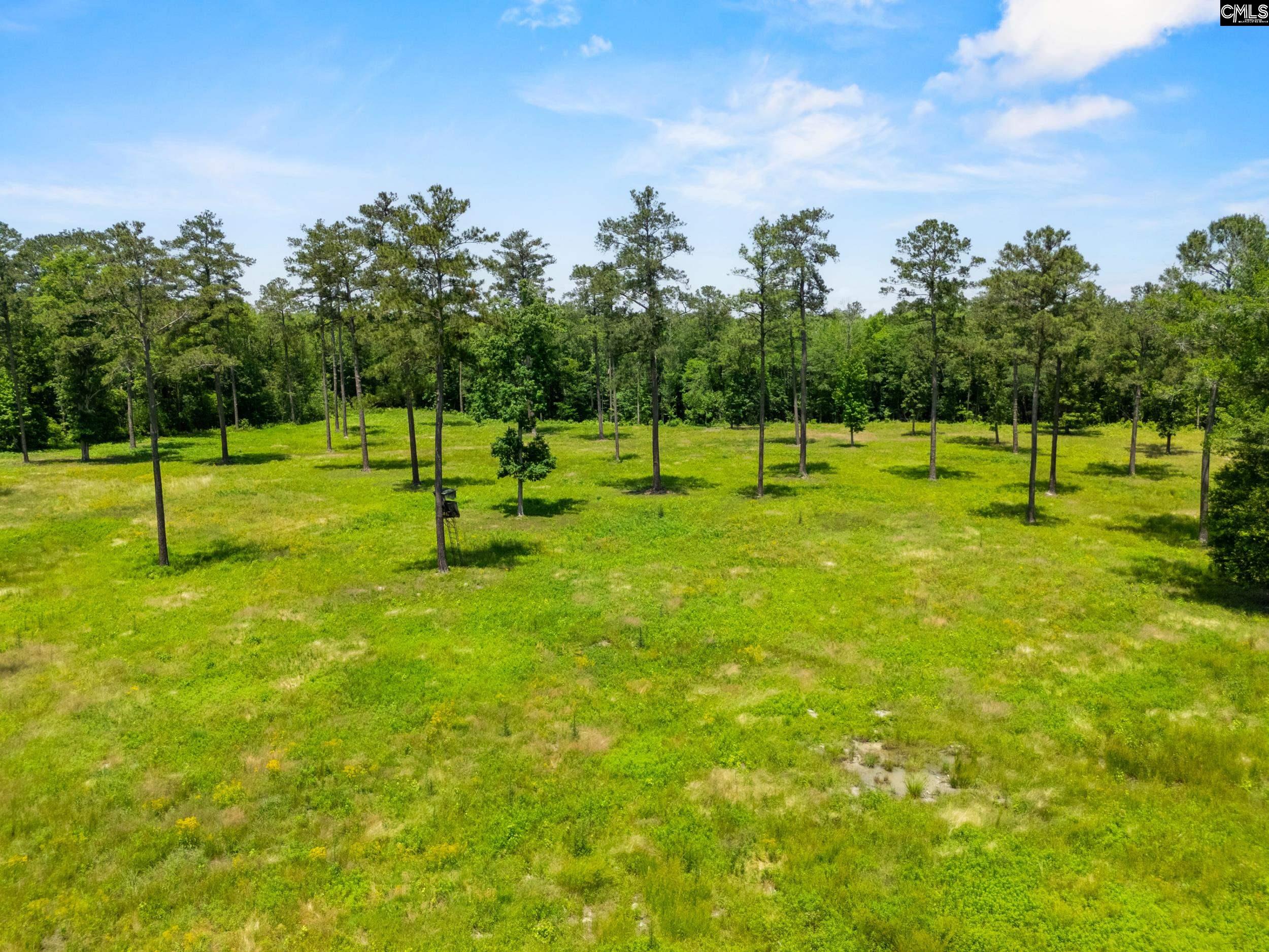 1626 Sumter Highway UNIT #2 Rembert, SC 29128