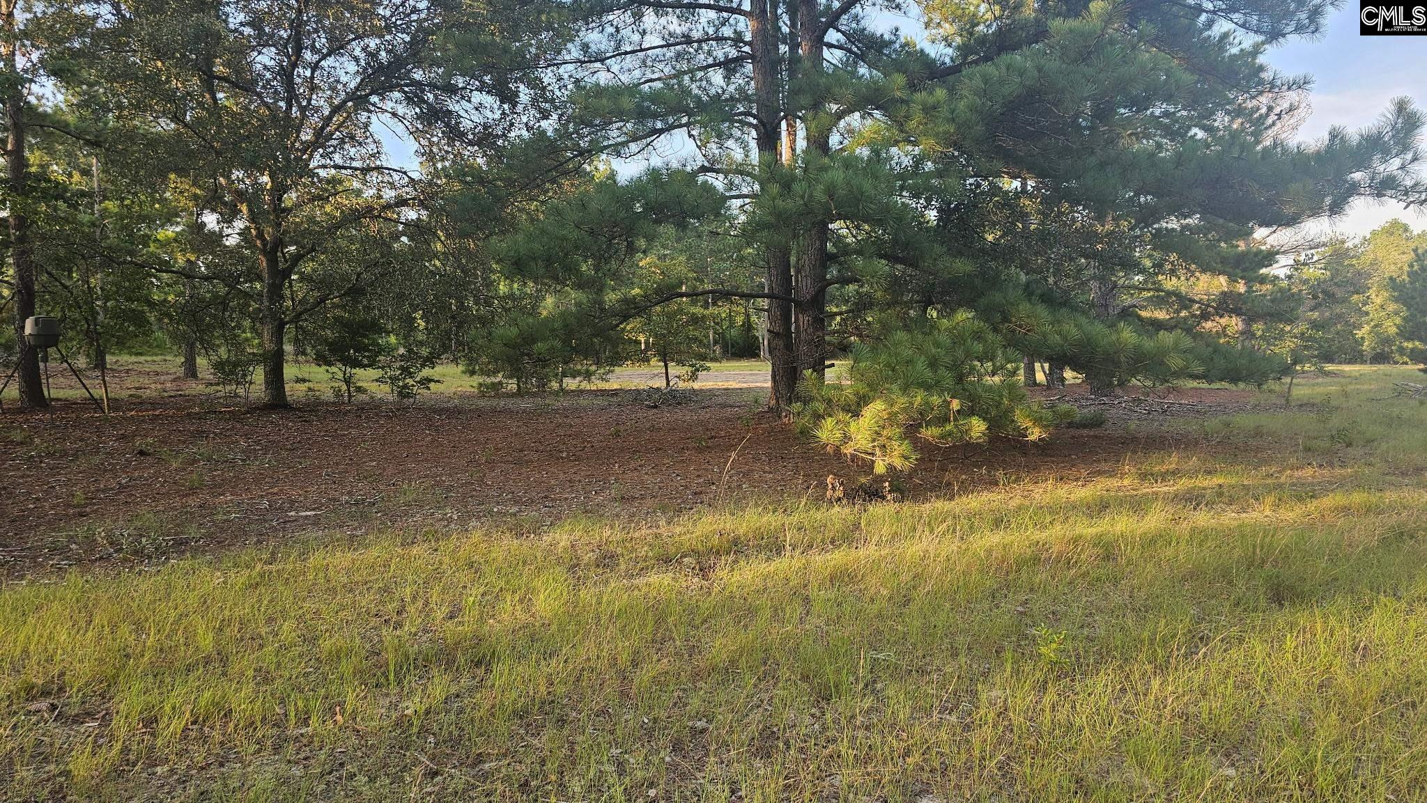 3064 Highway 1 Cassatt, SC 29032
