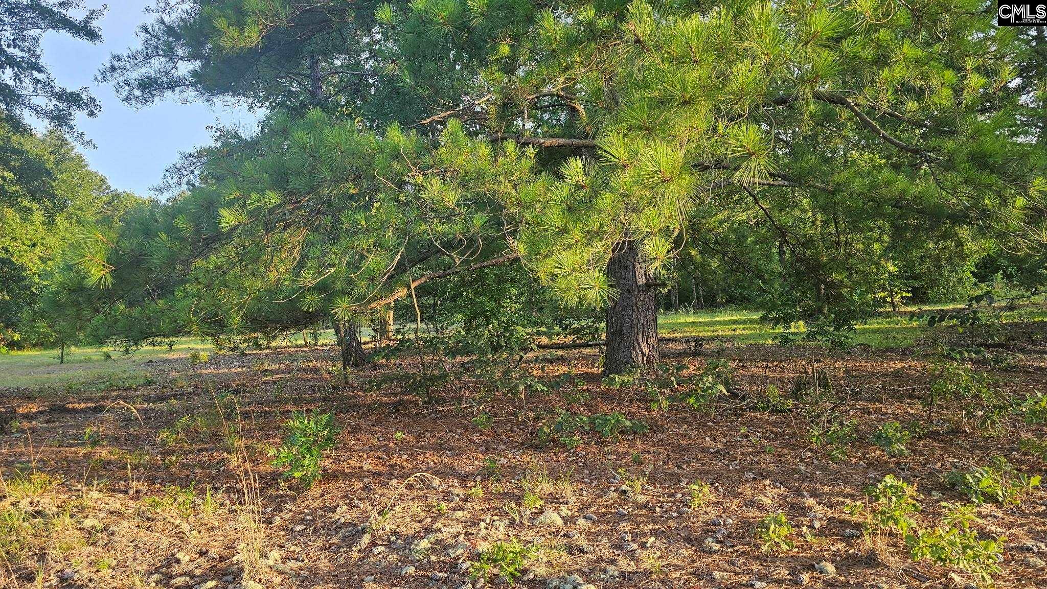 3064 Highway 1 Cassatt, SC 29032