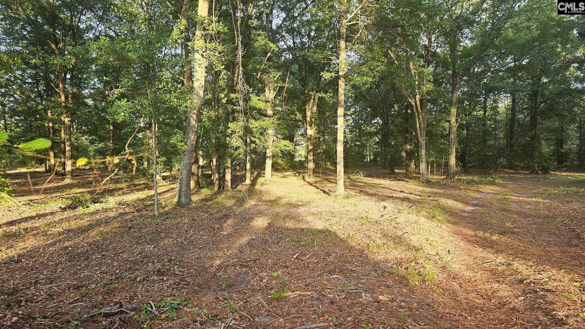 3064 Highway 1 Cassatt, SC 29032