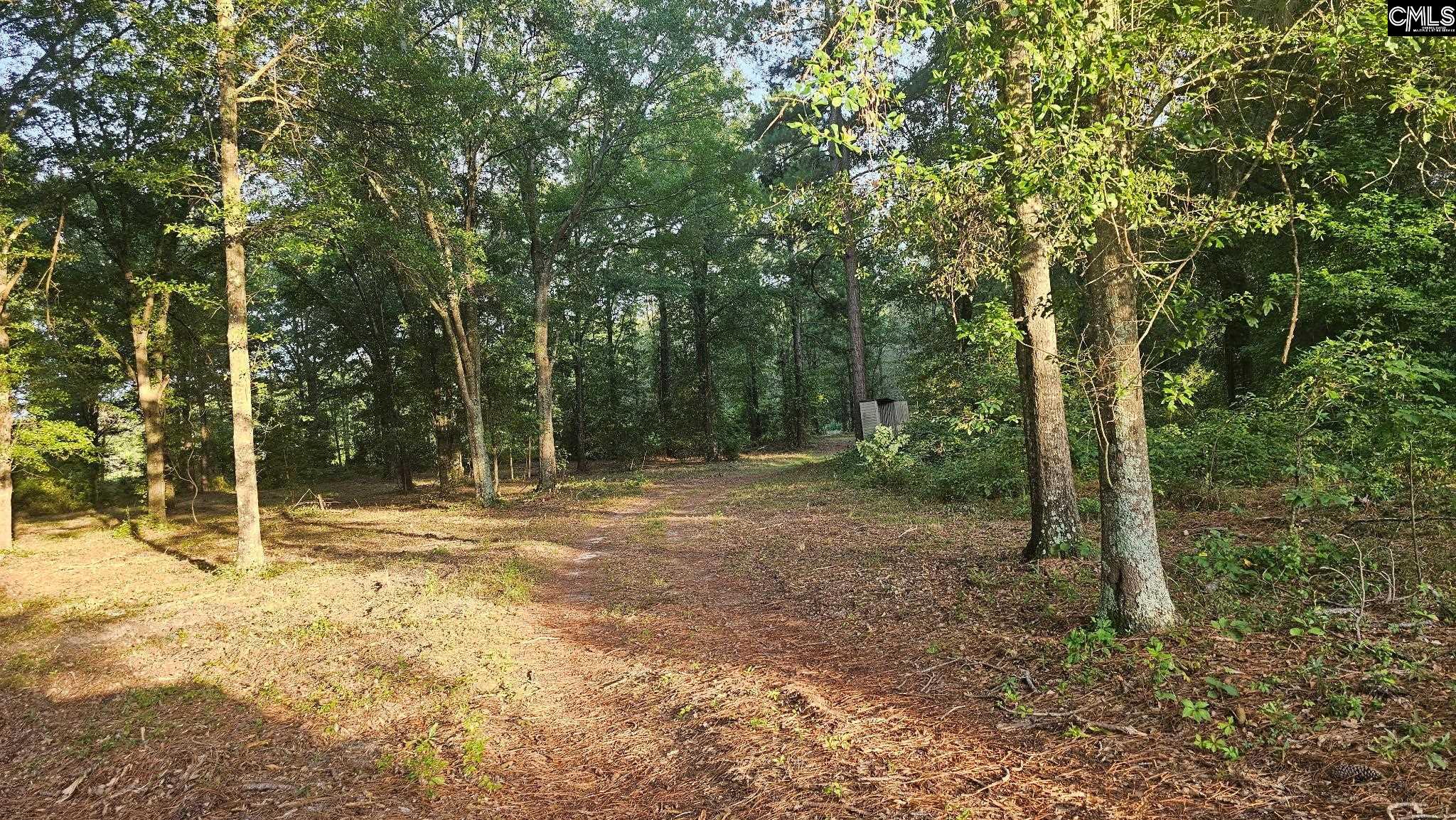 3064 Highway 1 Cassatt, SC 29032