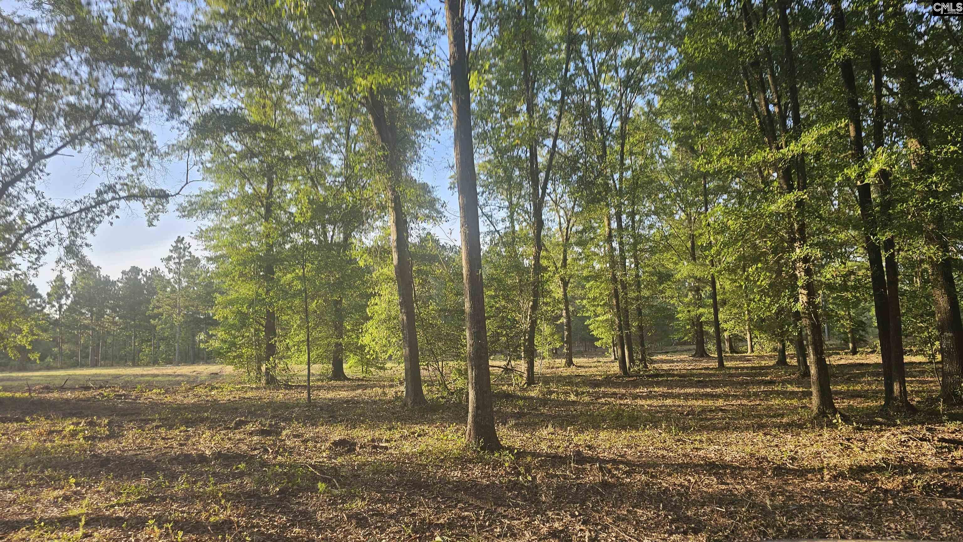 3064 Highway 1 Cassatt, SC 29032