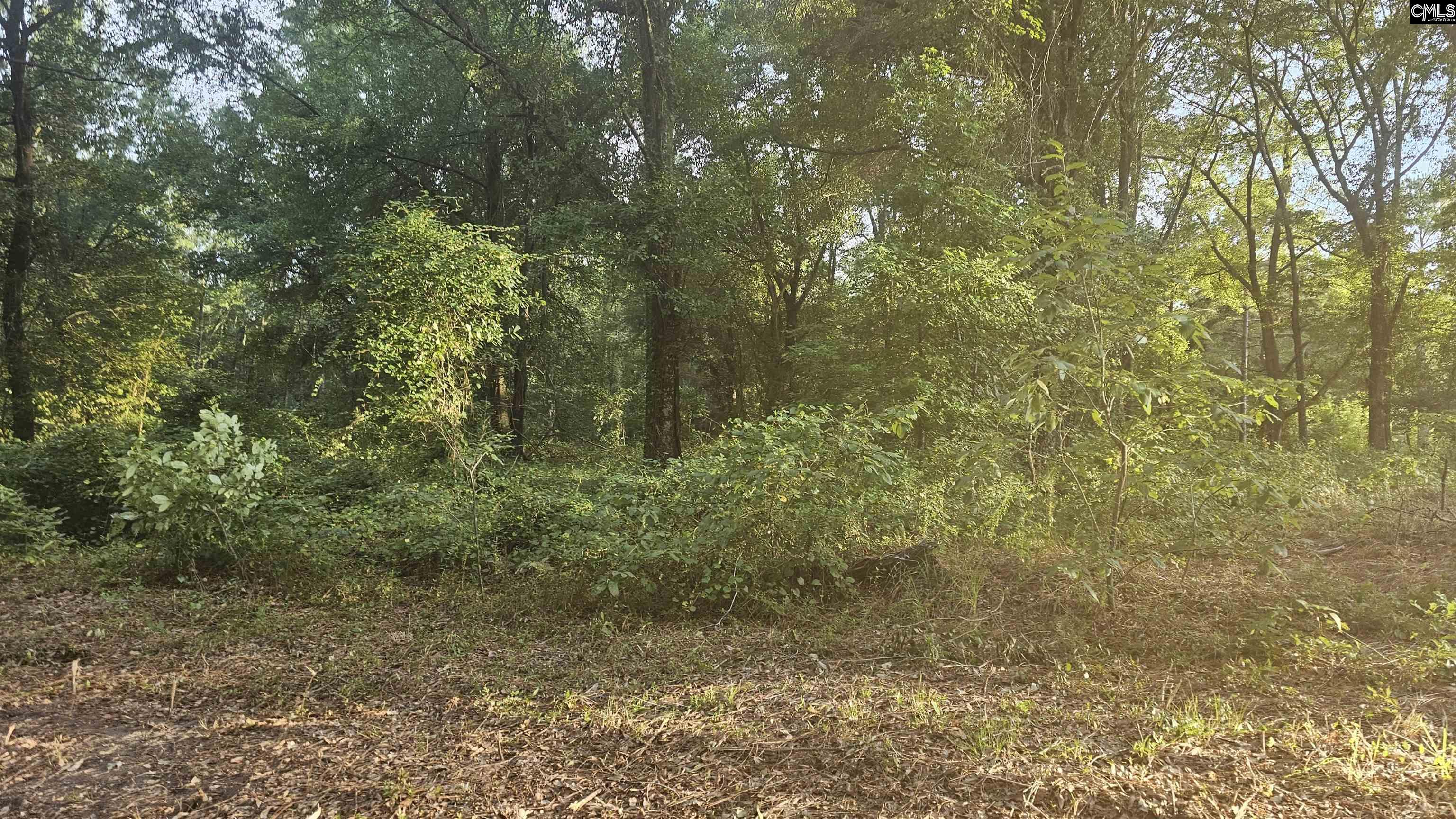 3064 Highway 1 Cassatt, SC 29032