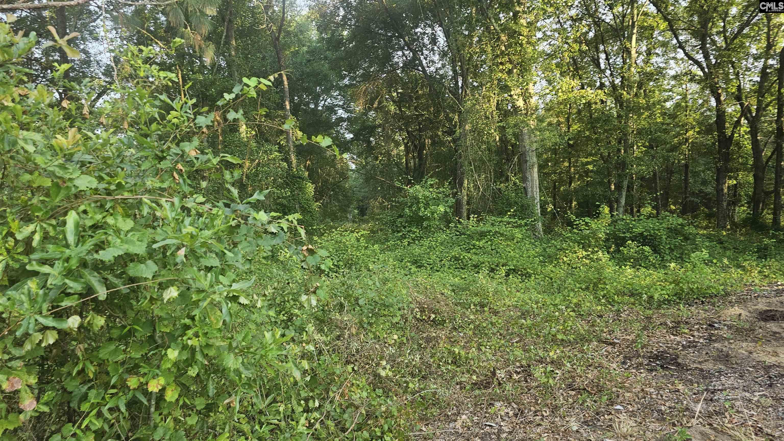 3064 Highway 1 Cassatt, SC 29032