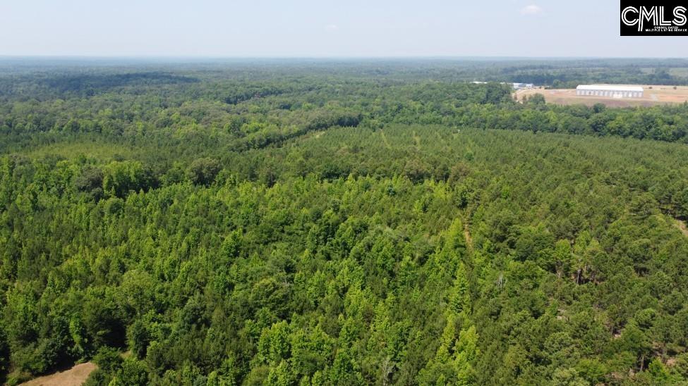 Cook Road Ridgeway, SC 29130