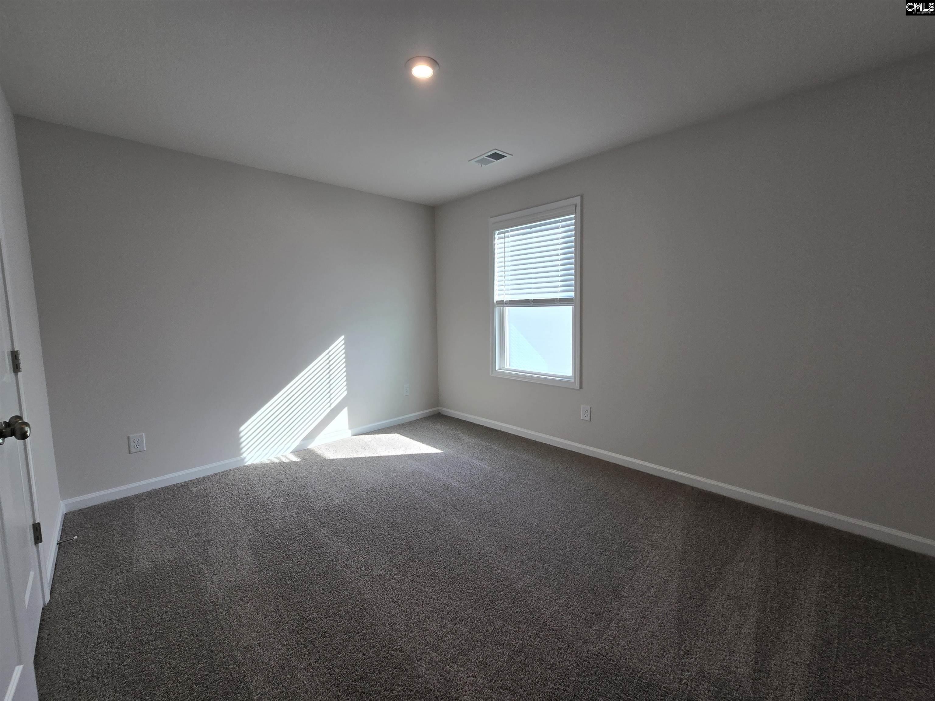 604 Basalt Court Chapin, SC 29036