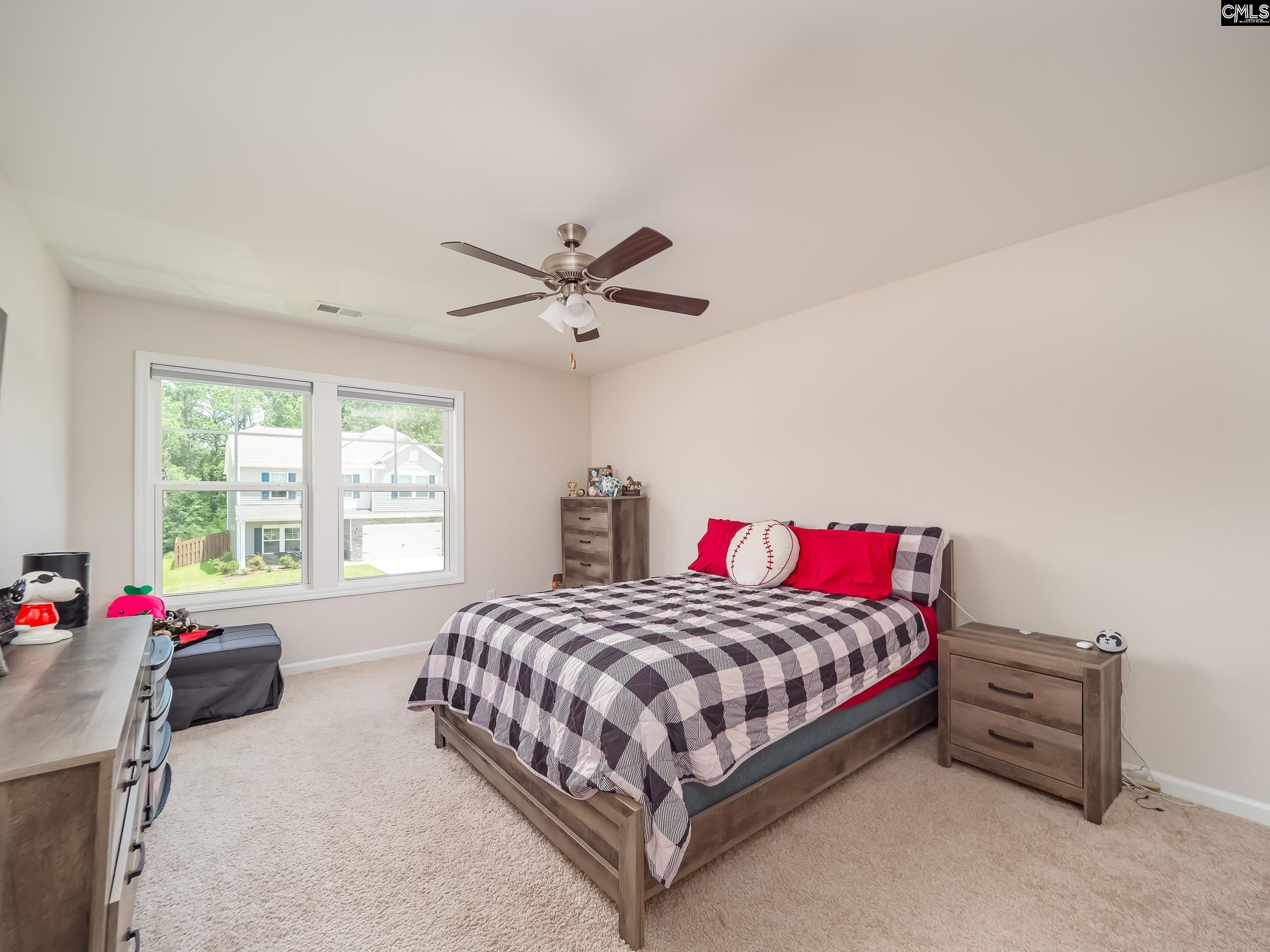 117 Irish Setter Street Chapin, SC 29036