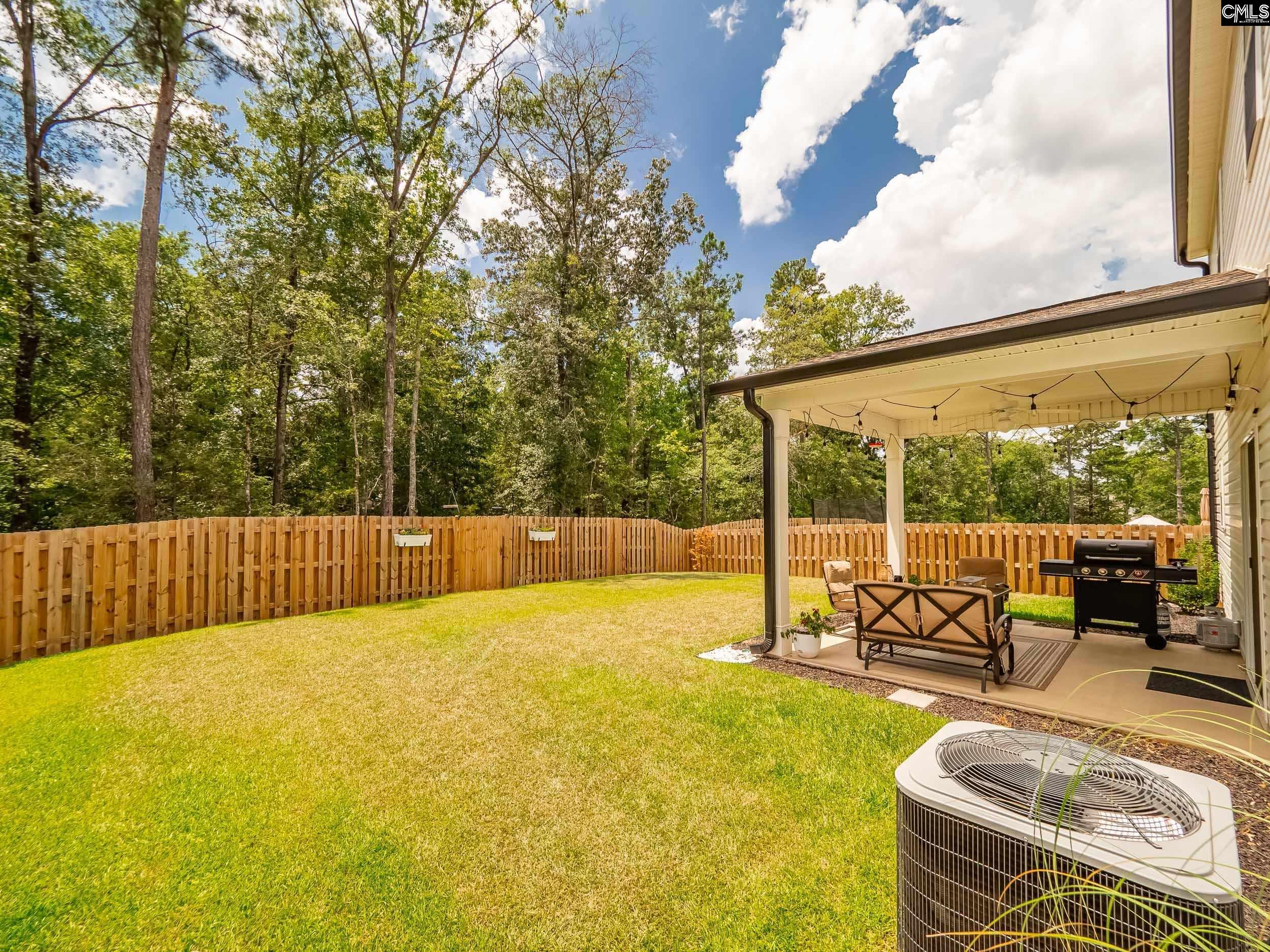 117 Irish Setter Street Chapin, SC 29036