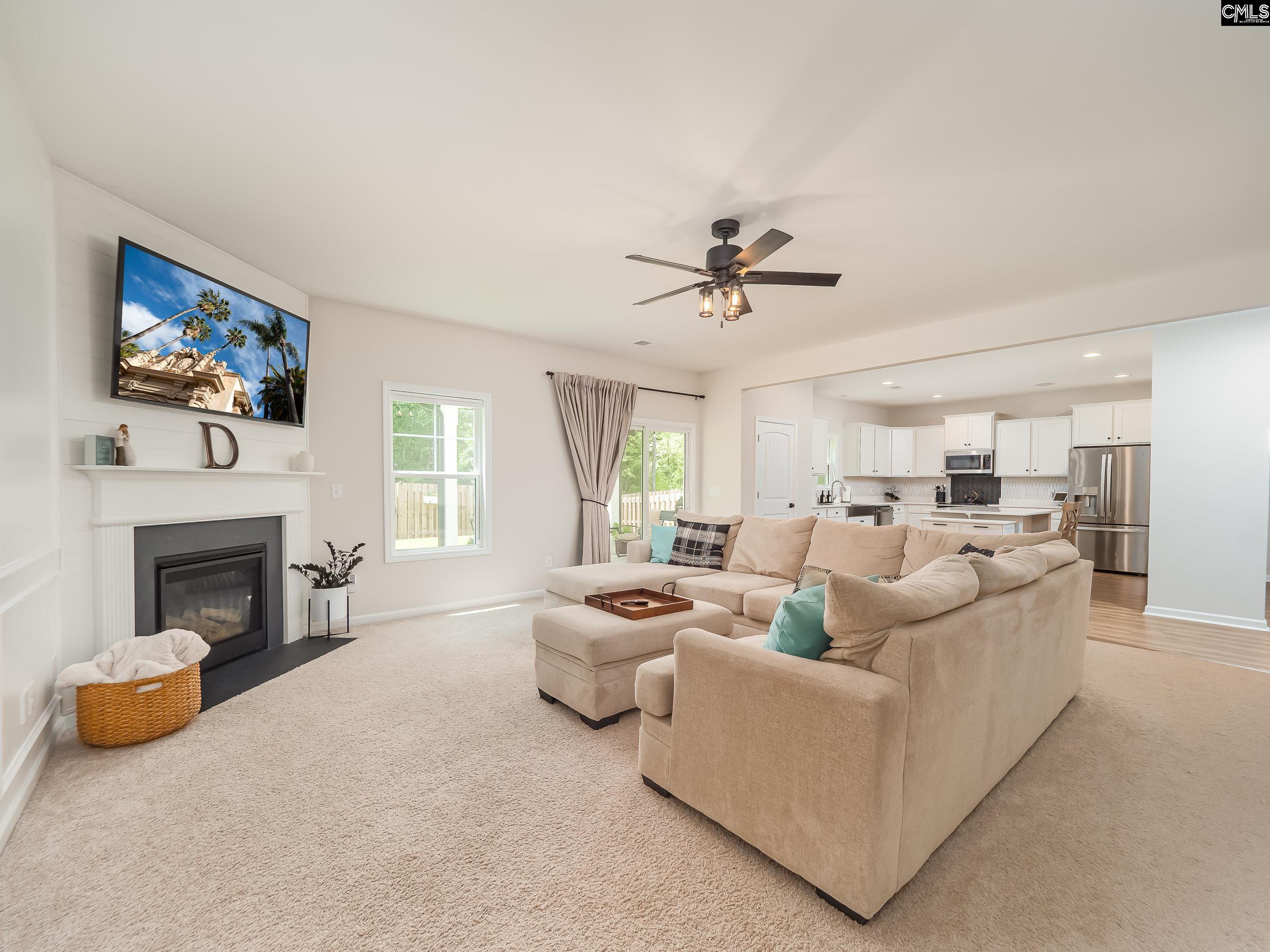 117 Irish Setter Street Chapin, SC 29036