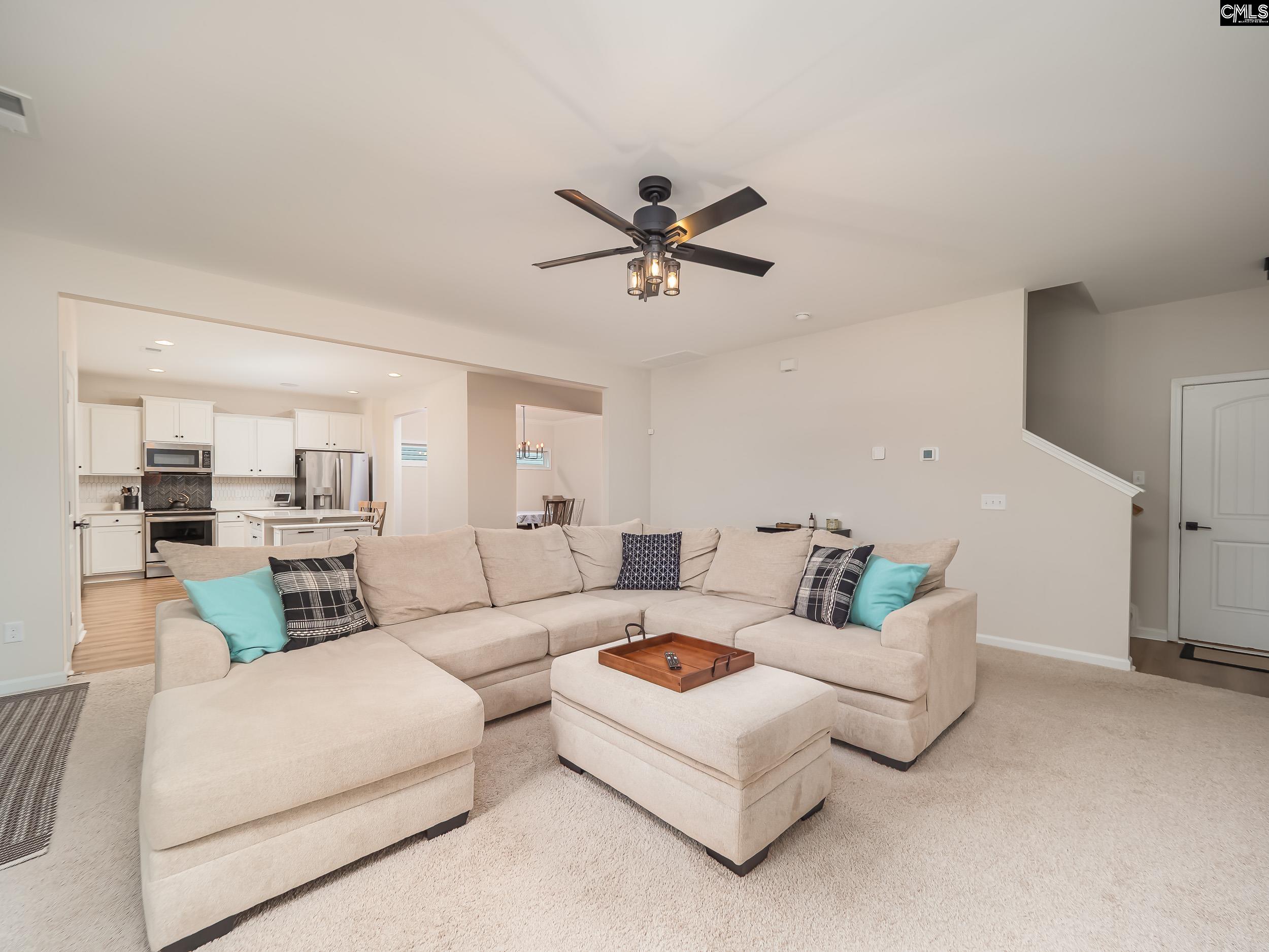 117 Irish Setter Street Chapin, SC 29036