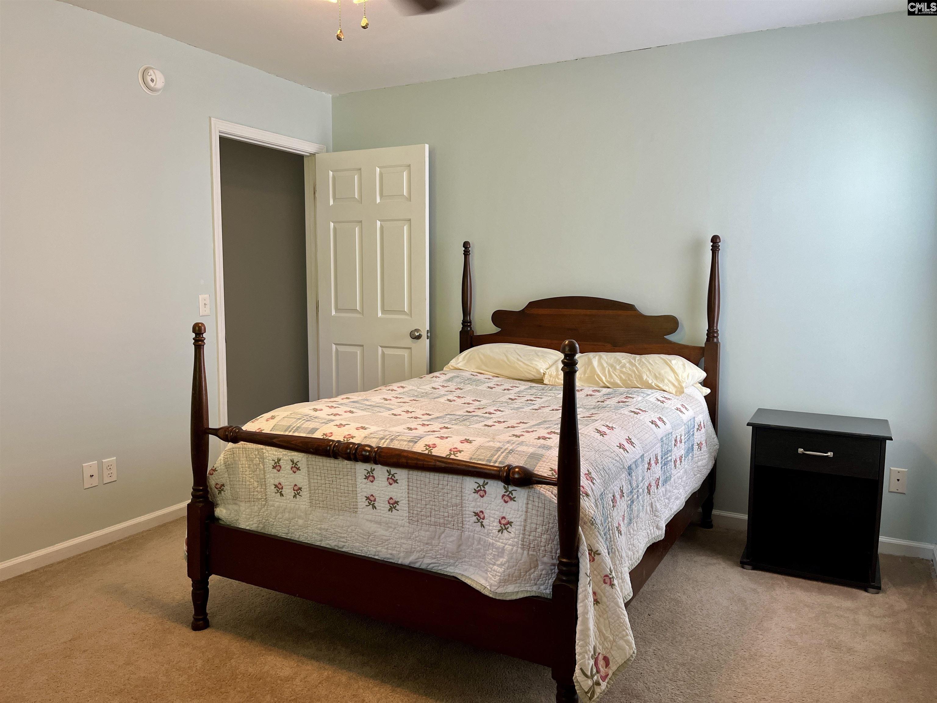 100 Recluse Street Chapin, SC 29036-9263