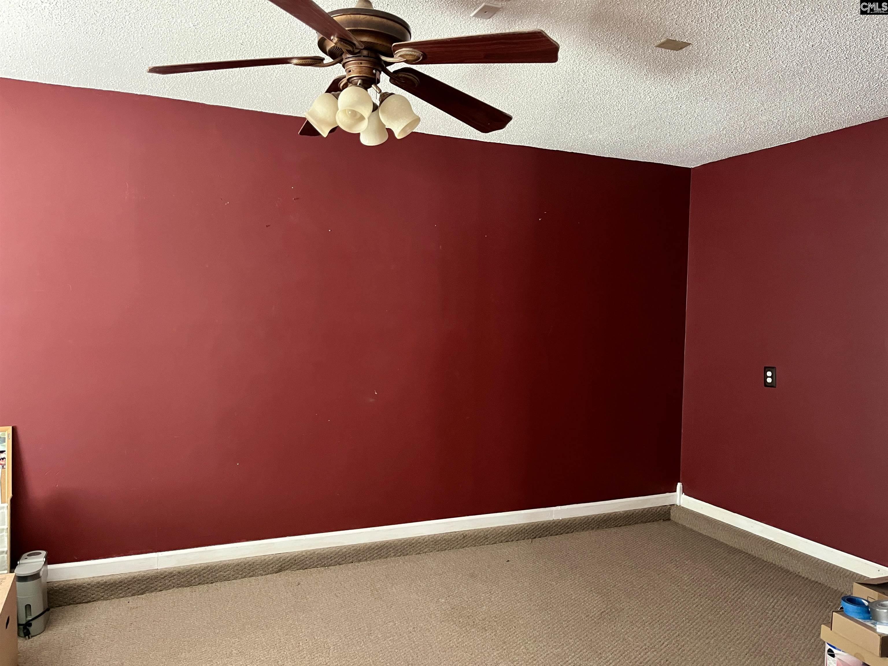 100 Recluse Street Chapin, SC 29036-9263