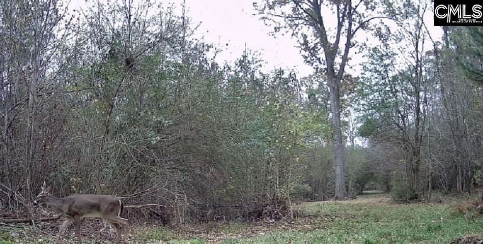 1235 Medical Park Road Saluda, SC 29138
