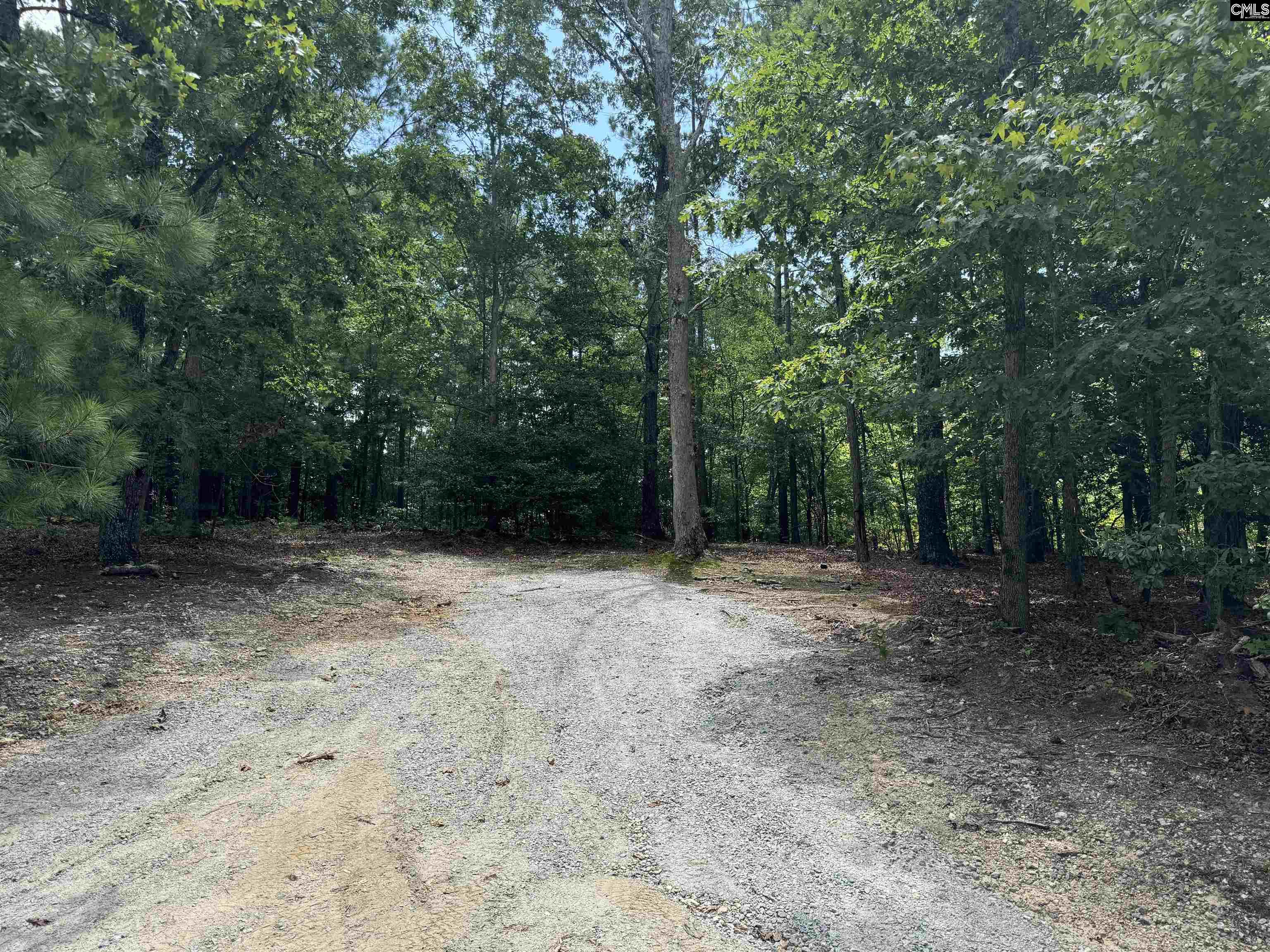 180 J C Trapp Road Blythewood, SC 29016