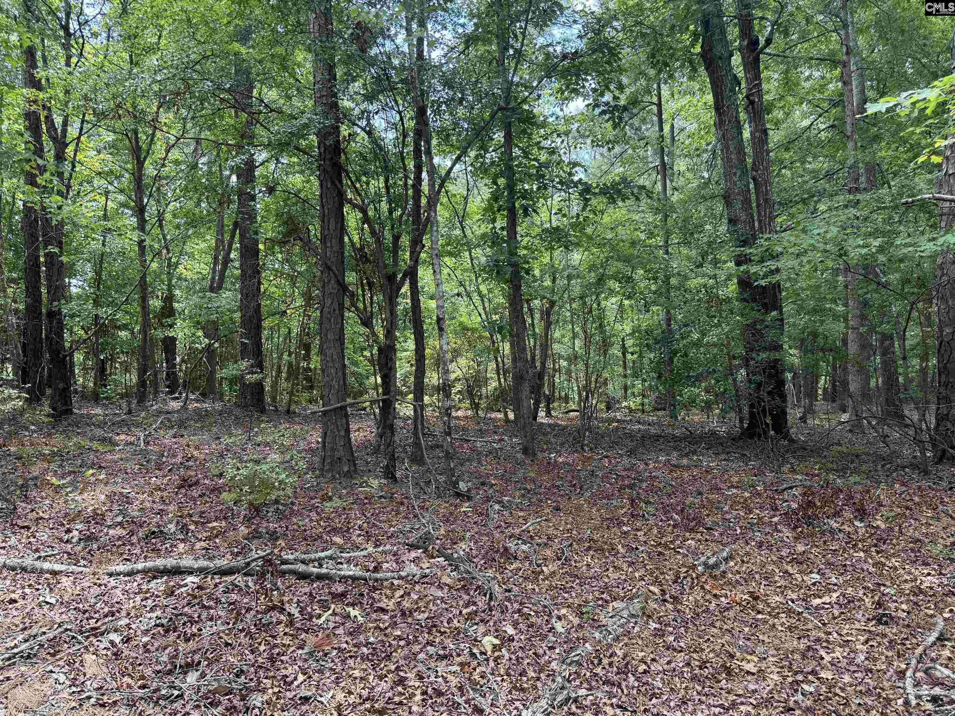 180 J C Trapp Road Blythewood, SC 29016