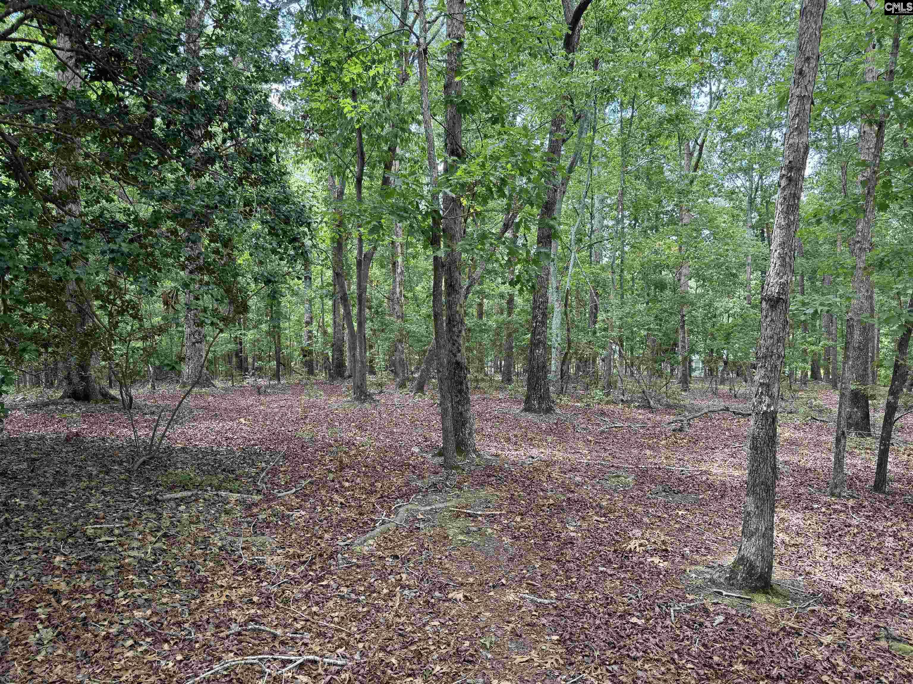 180 J C Trapp Road Blythewood, SC 29016