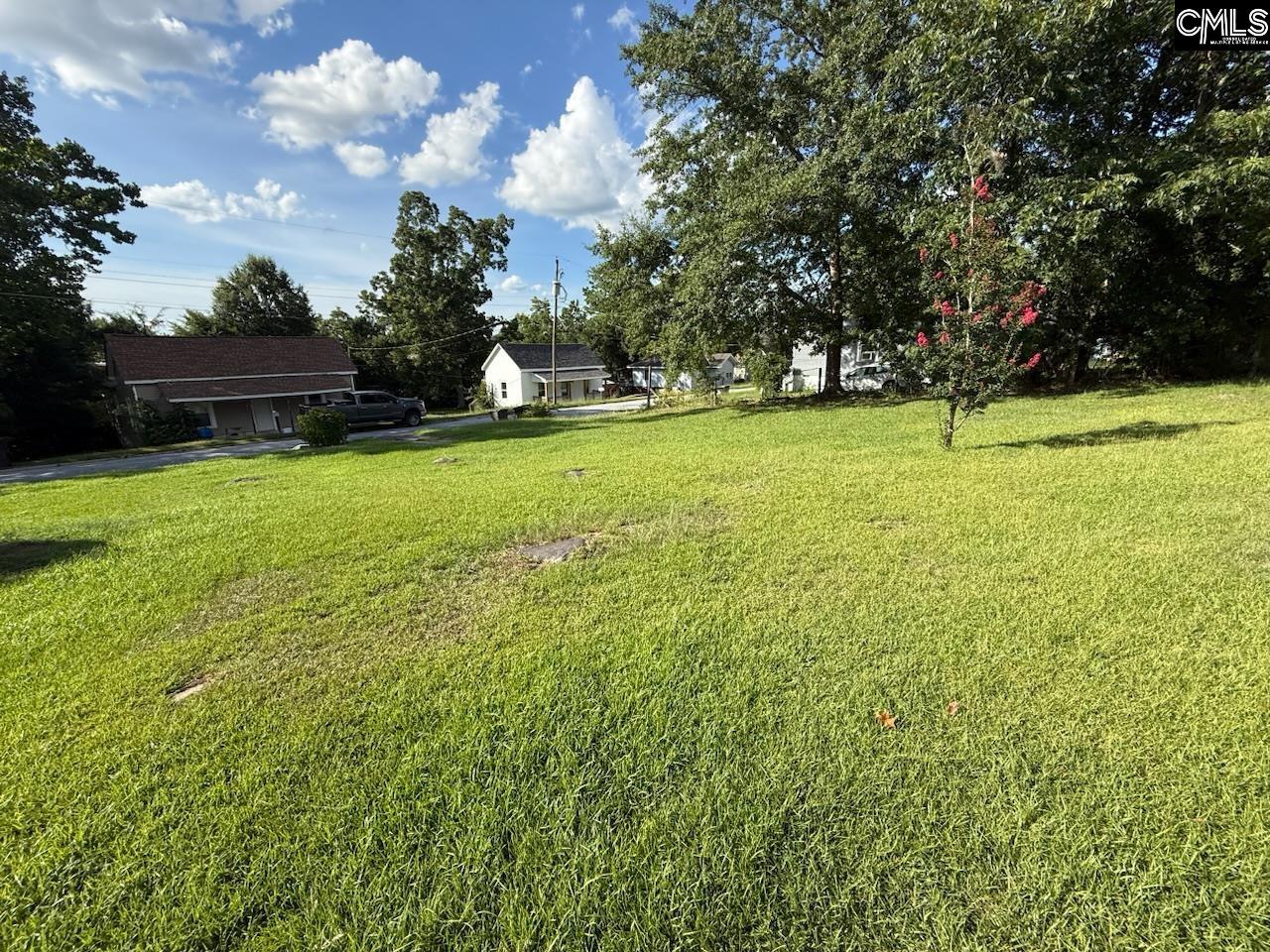 118 Glenn Street Newberry, SC 29108