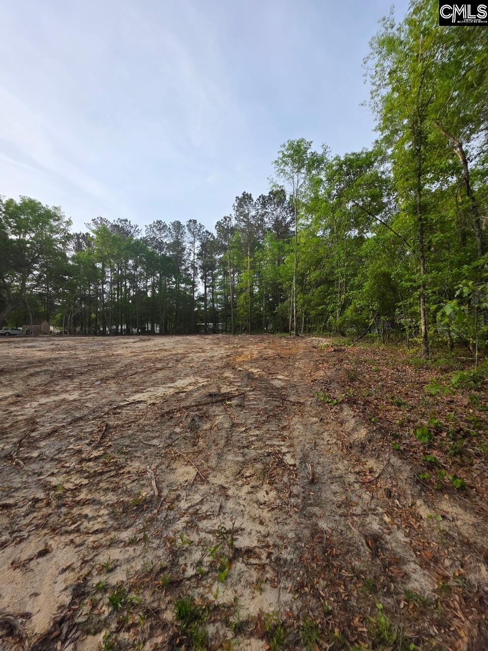 Timber Lane UNIT Lot 39 Orangeburg, SC 29118