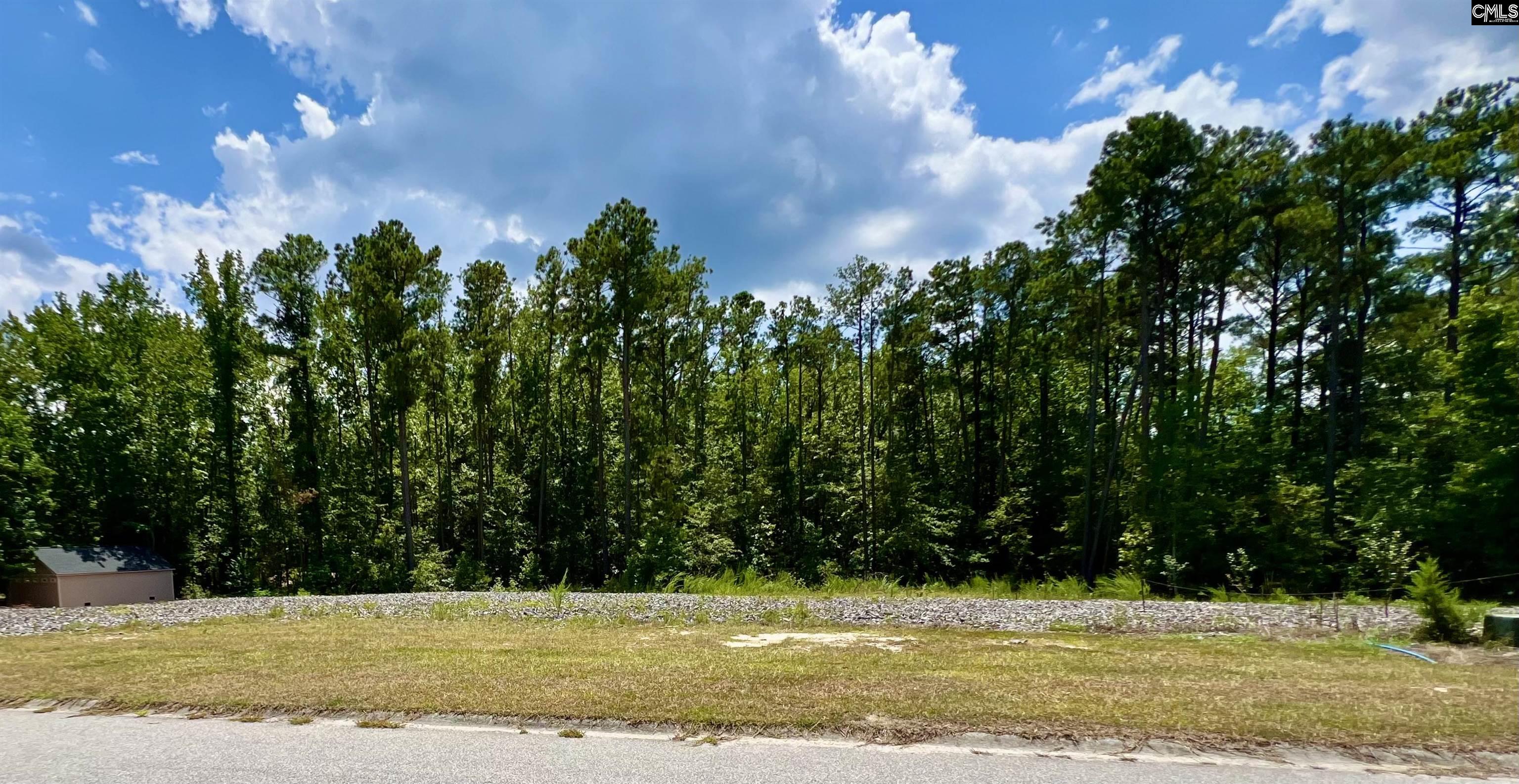 137 Mountain Maple Lane Blythewood, SC 29016