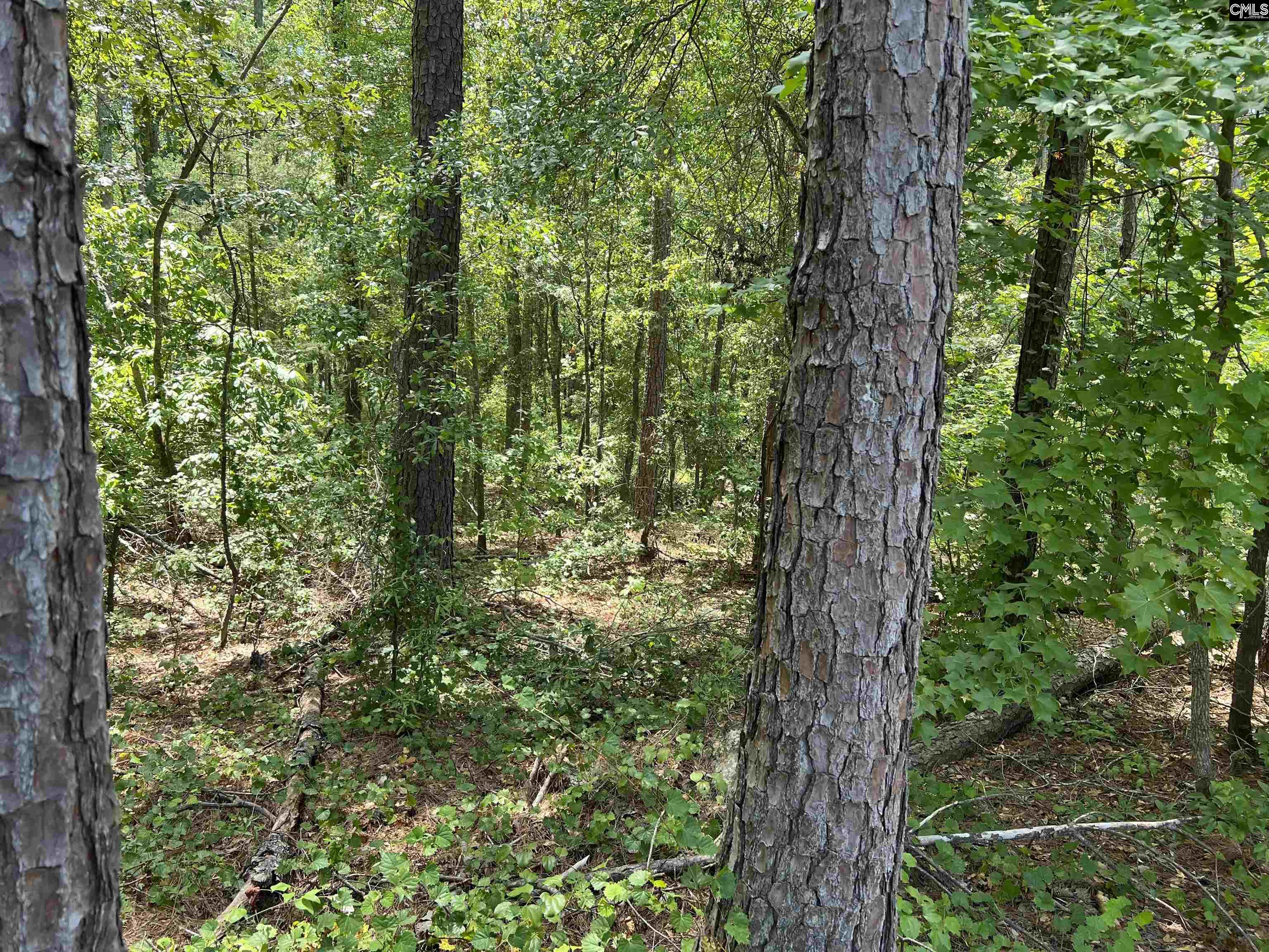 137 Mountain Maple Lane Blythewood, SC 29016