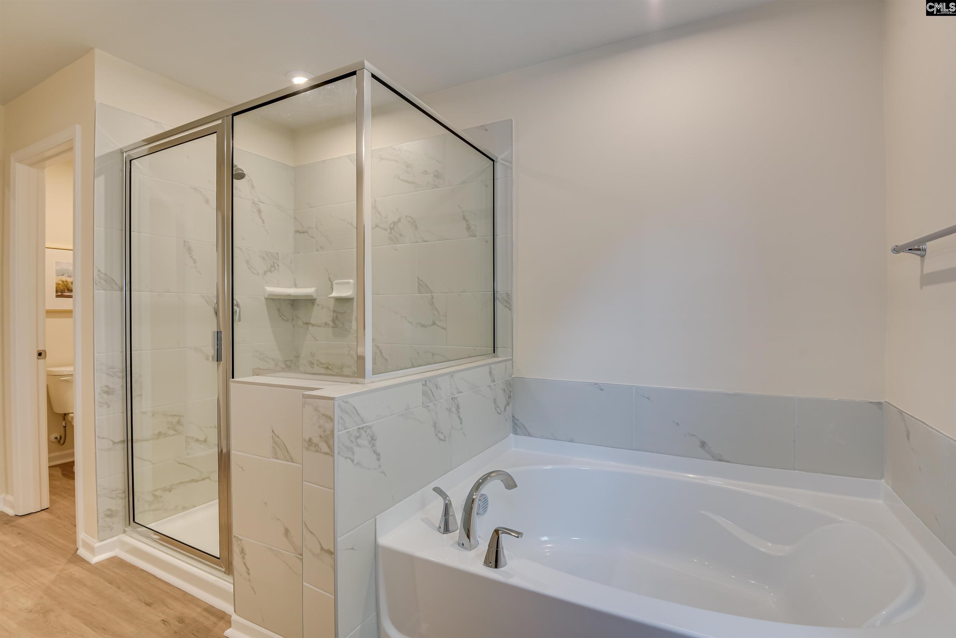 338 Chapin Place Way Chapin, SC 29036
