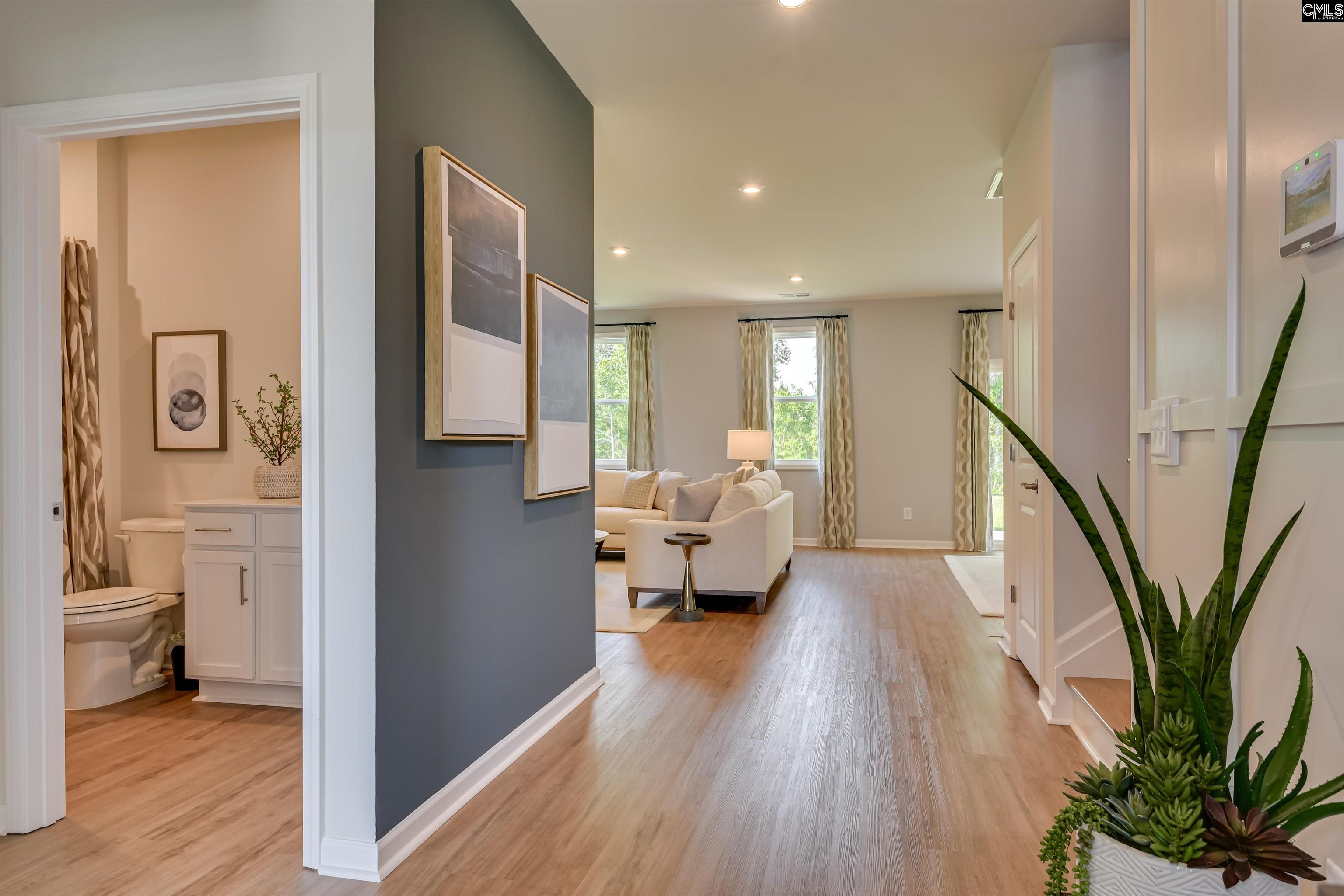 338 Chapin Place Way Chapin, SC 29036