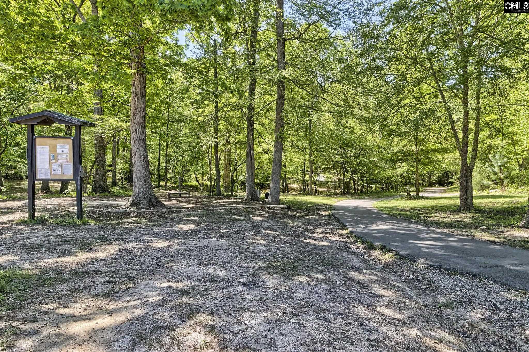 338 Chapin Place Way Chapin, SC 29036
