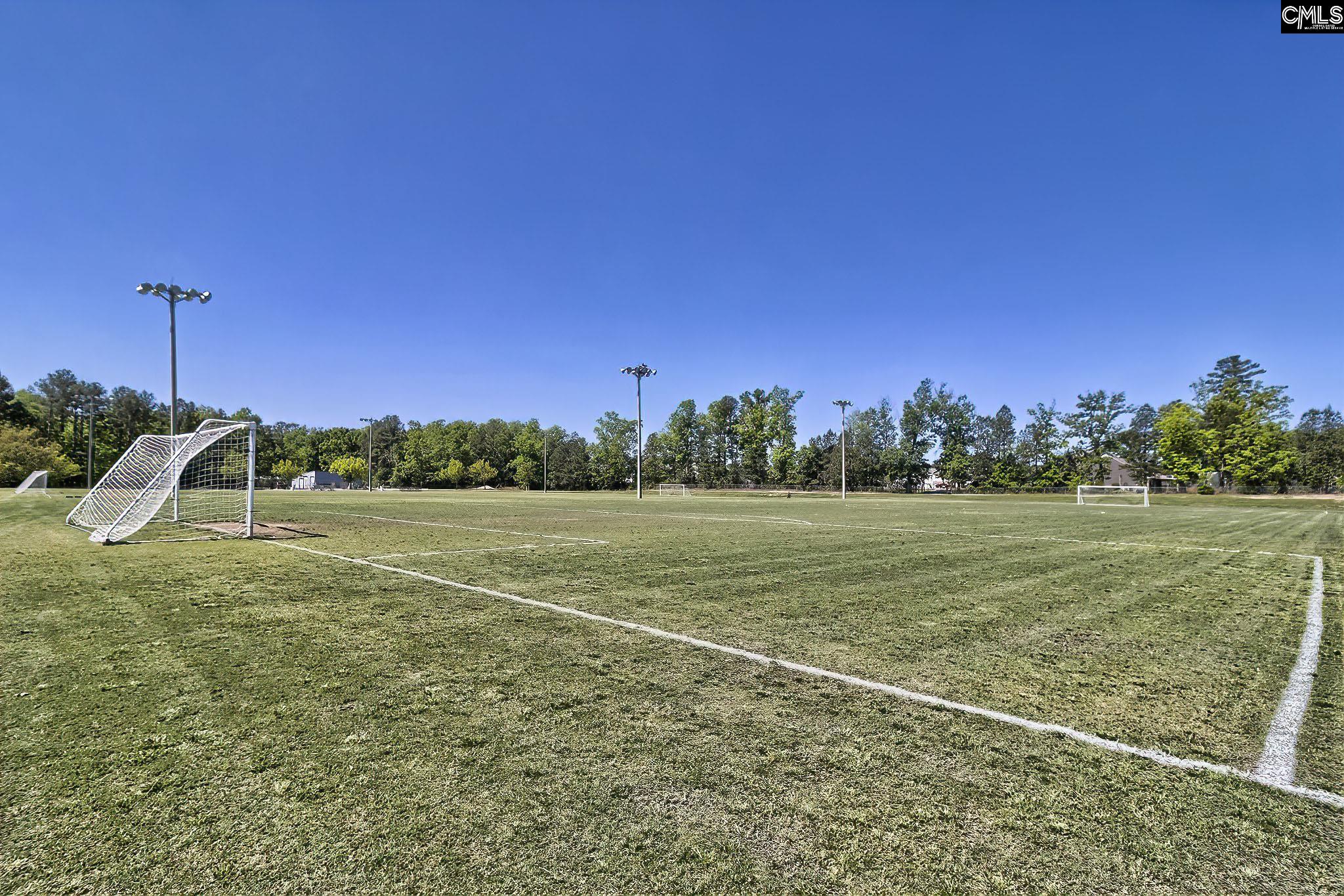 338 Chapin Place Way Chapin, SC 29036
