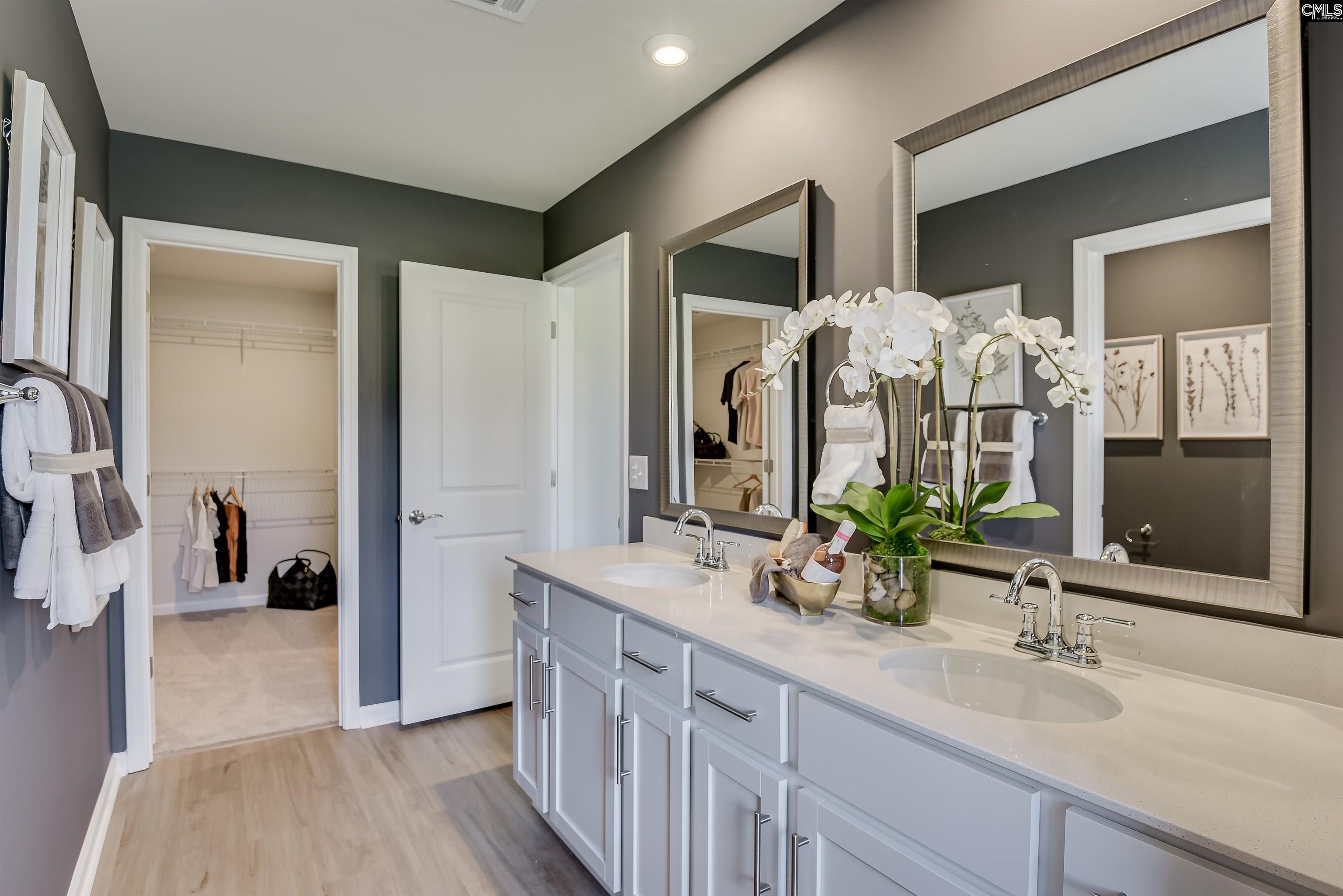 338 Chapin Place Way Chapin, SC 29036