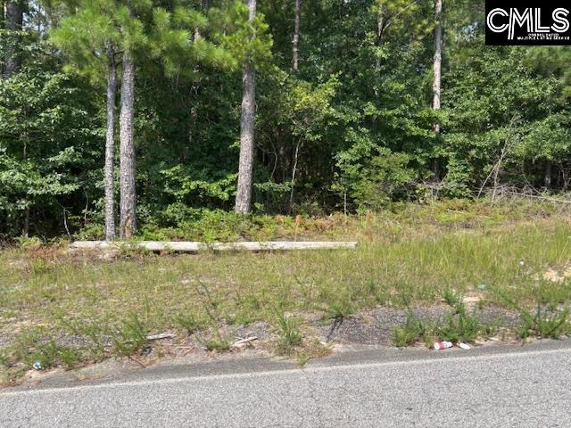 Lot 3 Micala Drive UNIT #3 West Columbia, SC 29170