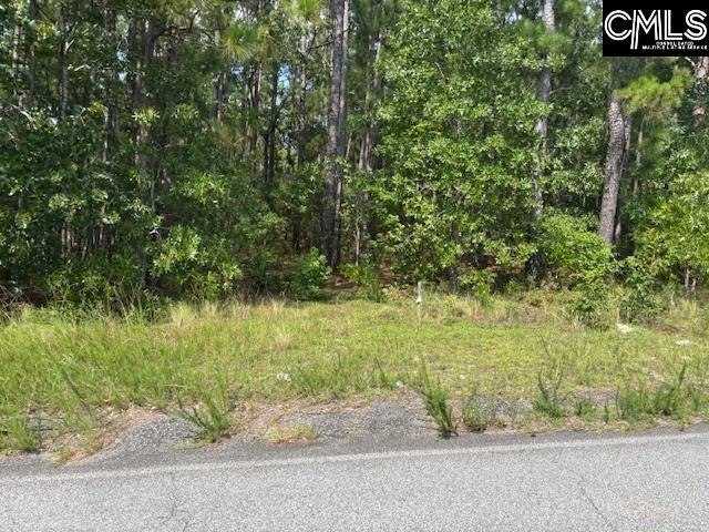 Lot 3 Micala Drive UNIT #3 West Columbia, SC 29170