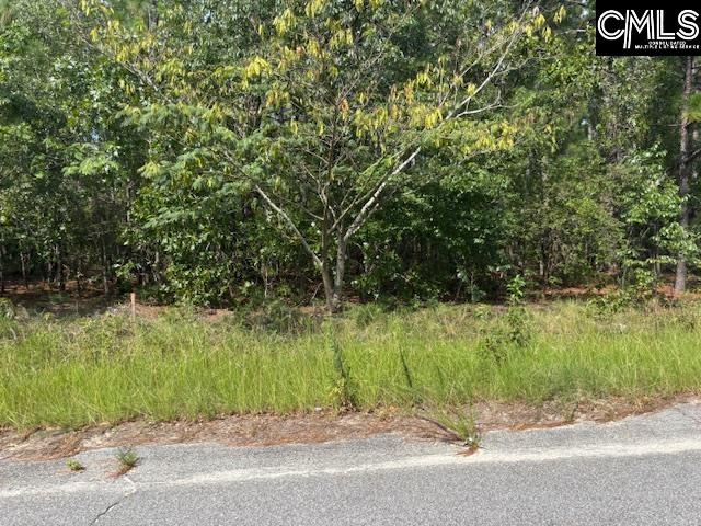 Lot 3 Micala Drive UNIT #3 West Columbia, SC 29170