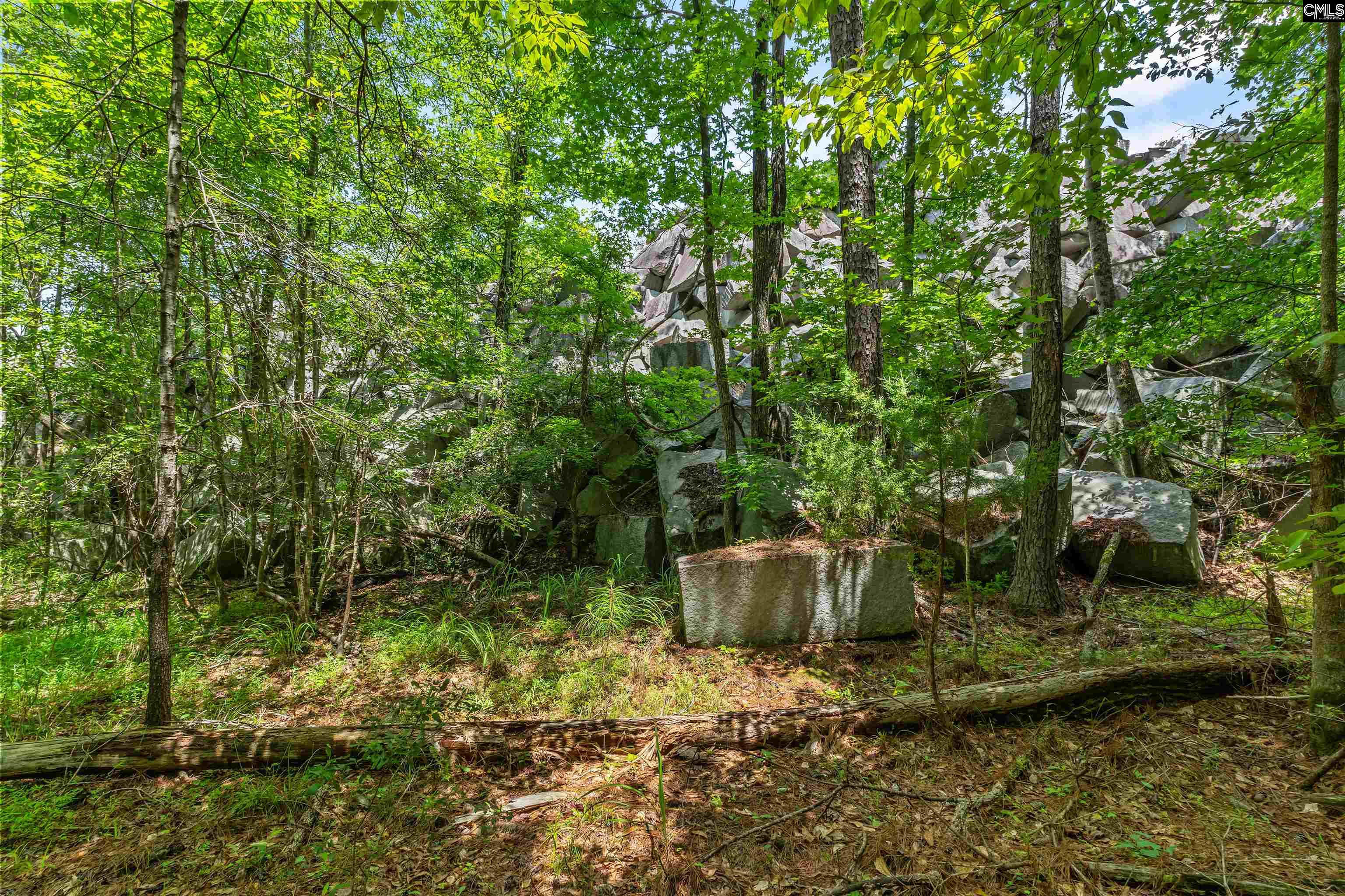 494 Thames Way Drive Winnsboro, SC 29180