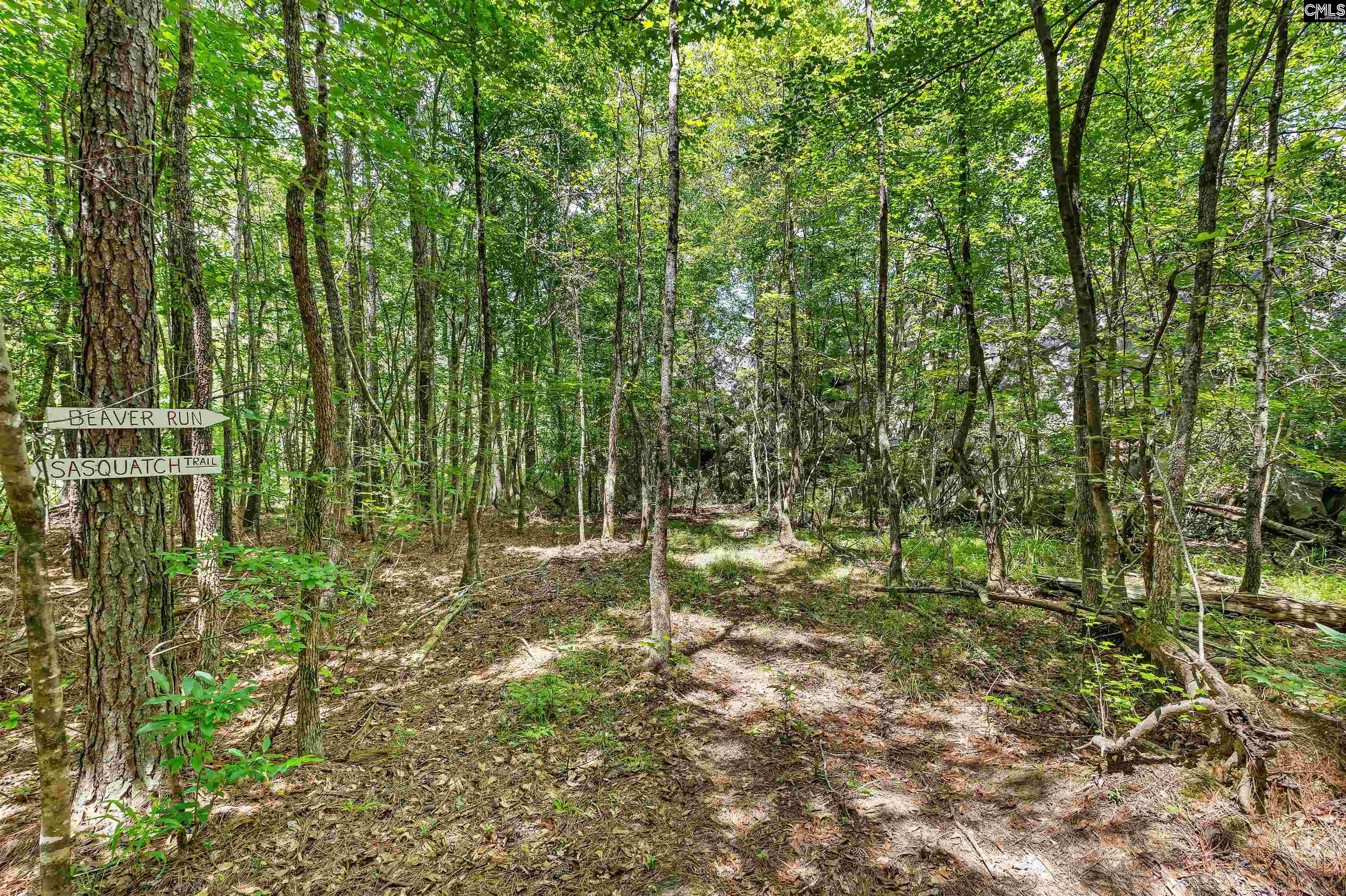 494 Thames Way Drive Winnsboro, SC 29180