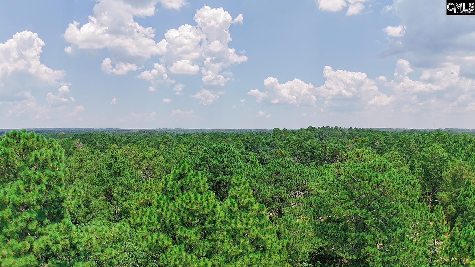 5459 Two Notch Road Leesville, SC 29070