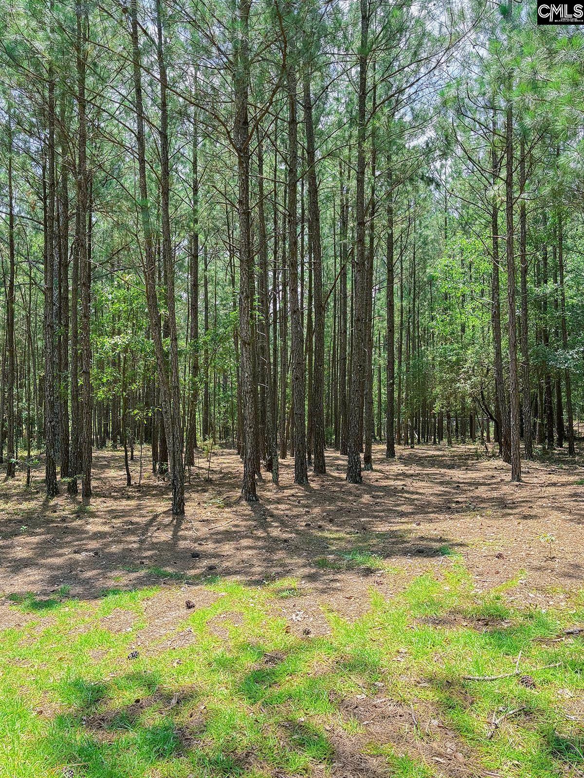 5459 Two Notch Road Leesville, SC 29070