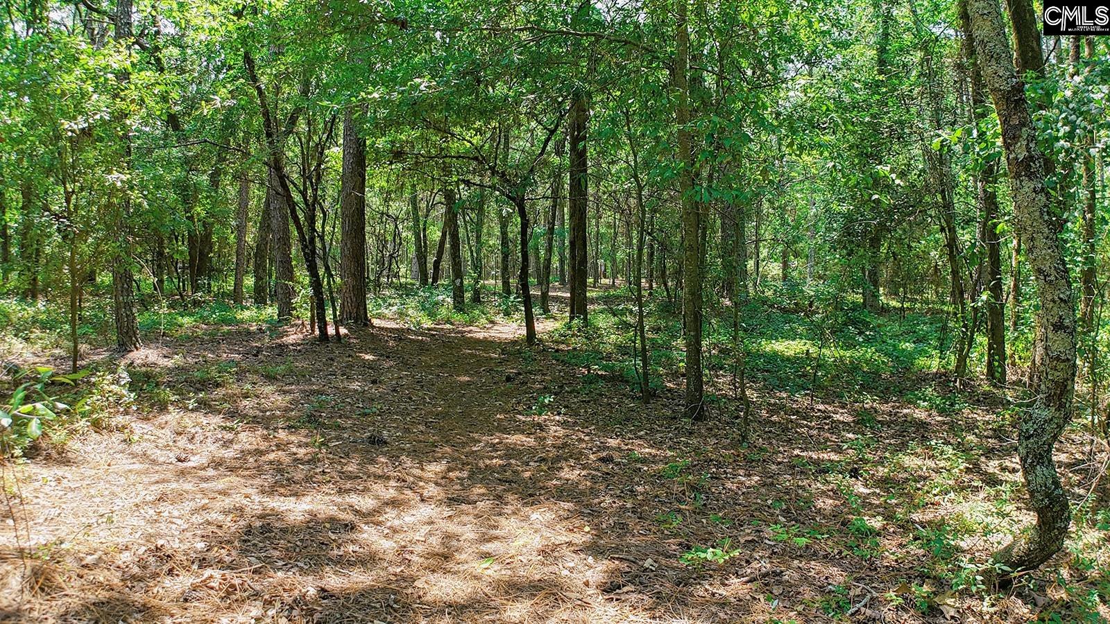 5459 Two Notch Road Leesville, SC 29070