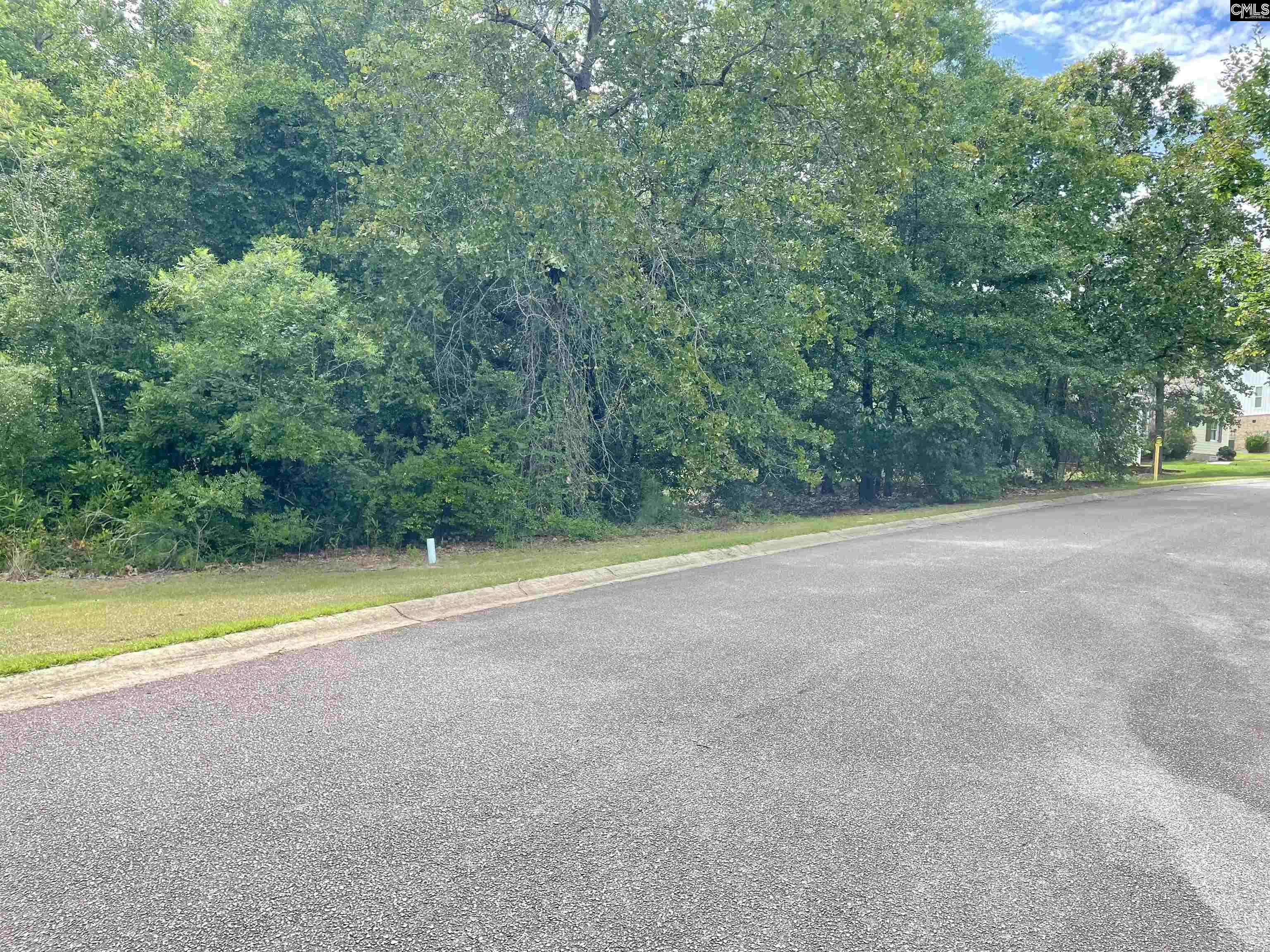 409 Upland Trail Road UNIT #73 Elgin, SC 29045