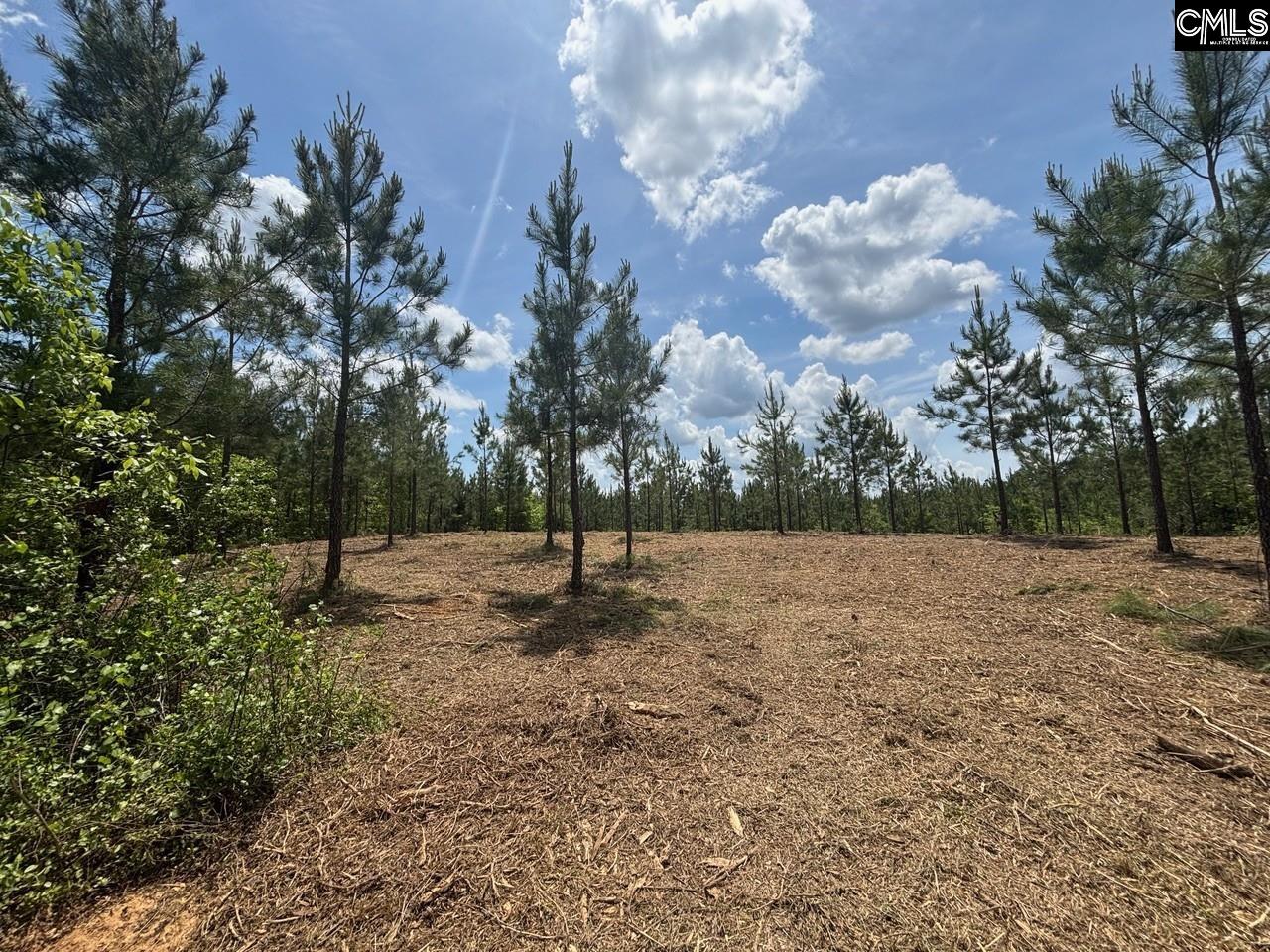 SCF 2 Long Cane Road UNIT SCF 2 Edgefield, SC 29824